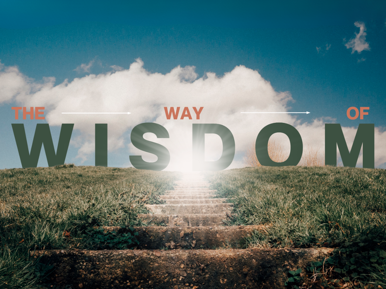 The Way of Wisdom | Choose Your Path - Season 4, Episode 78 episode artwork