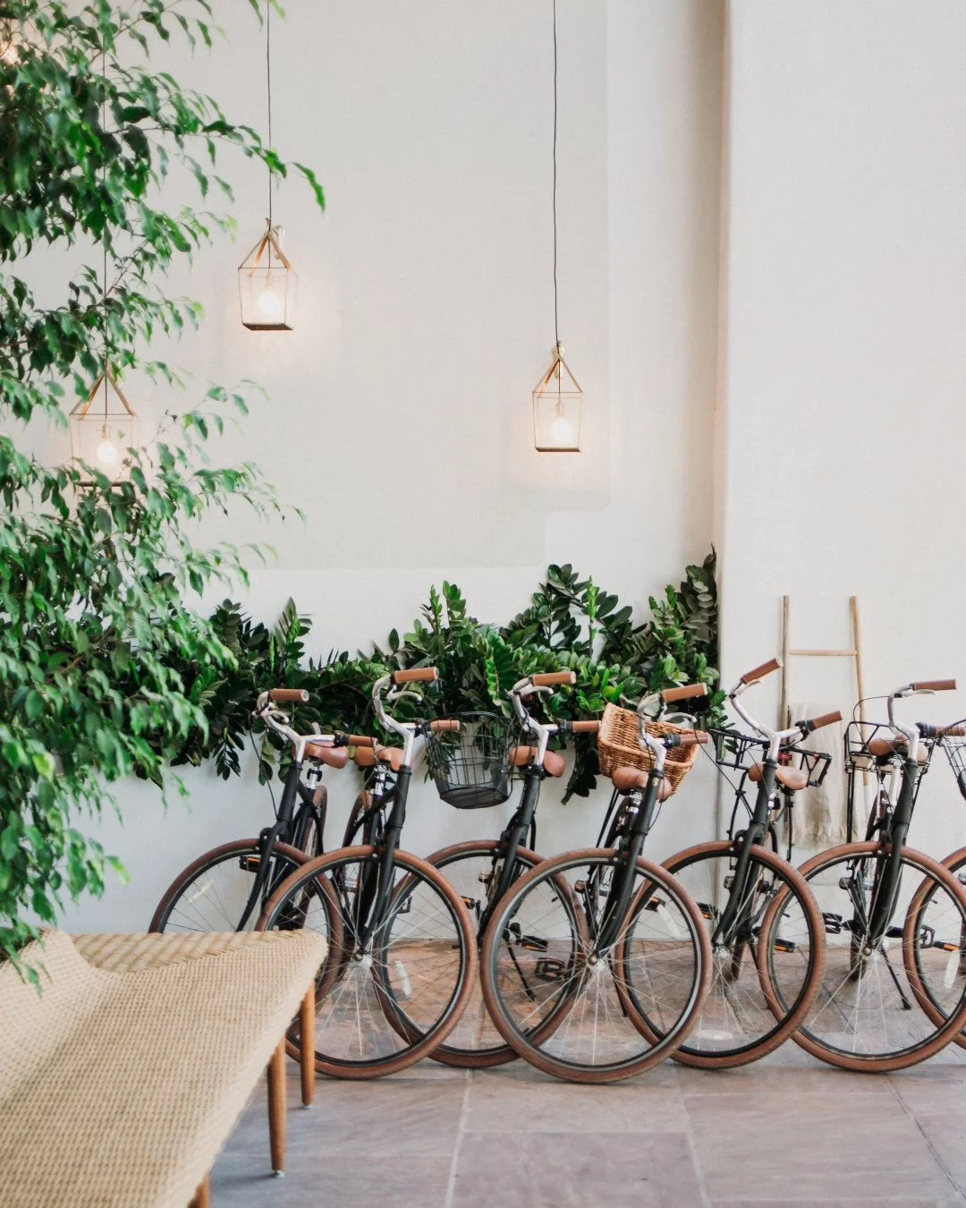 the in-between moments always end up being my favorites 🤍⁠
⁠
⁠
⁠
#ScottsdalePhotographer #PhoenixPhotographer #ArizonaBrandPhotographer⁠
scottsdale lifestyle photography desert aesthetic arizona content creator creative entrepreneur visuals