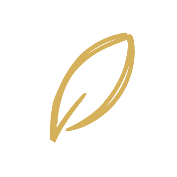 Gold outline of a leaf with a black background.