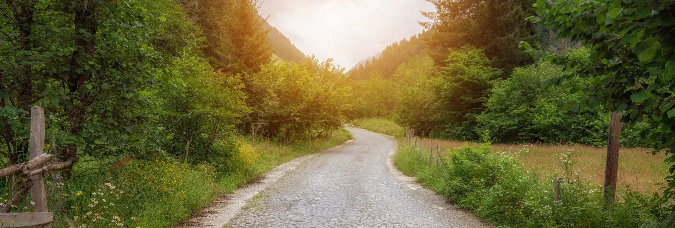 A winding dirt and gravel road running through lush greenery, with trees on both sides, mountains in the background, and sunlight filtering through the trees.