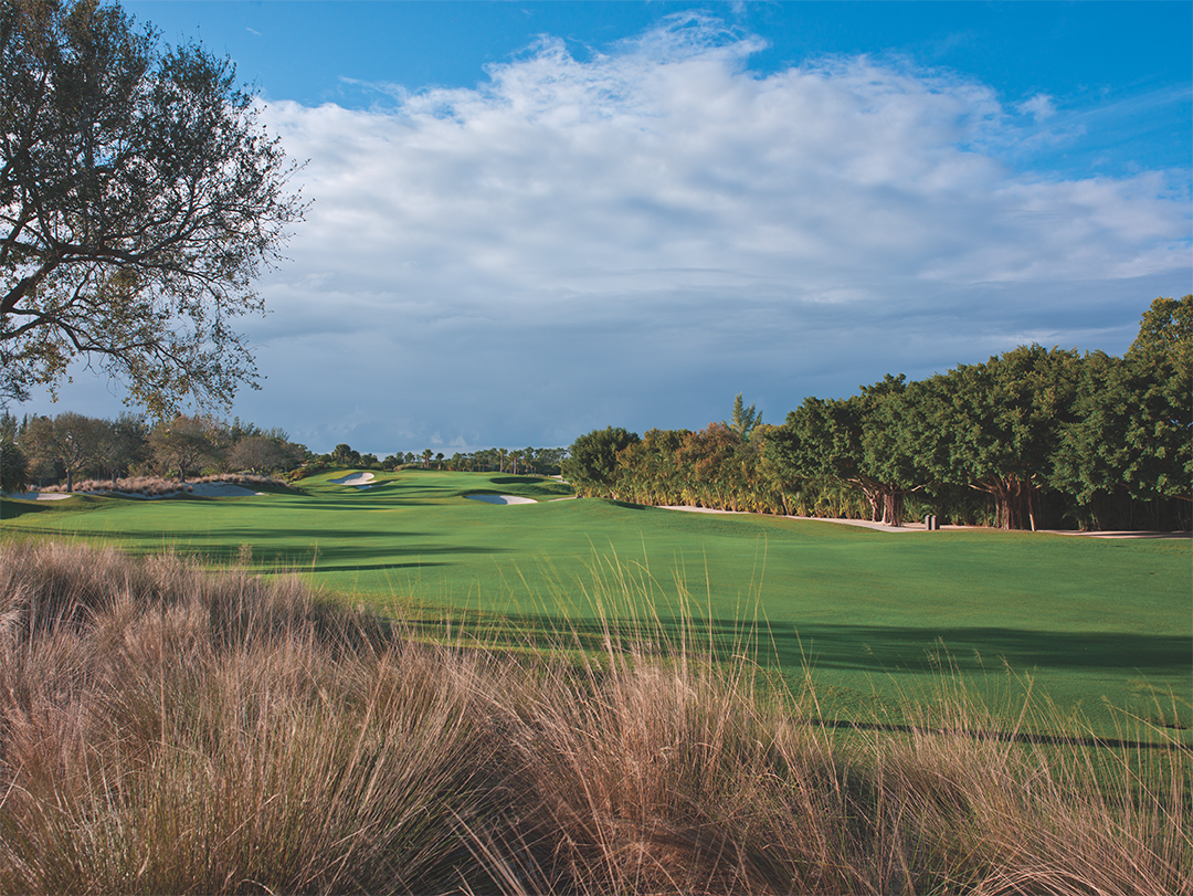 Emerald Dunes Club photo 1
