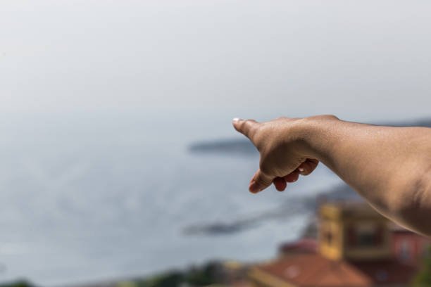 November 2025 — What Is That?!