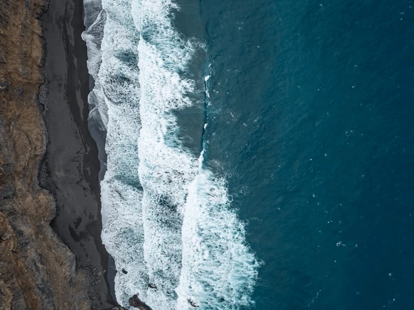 March 2026 - Food For Thought…