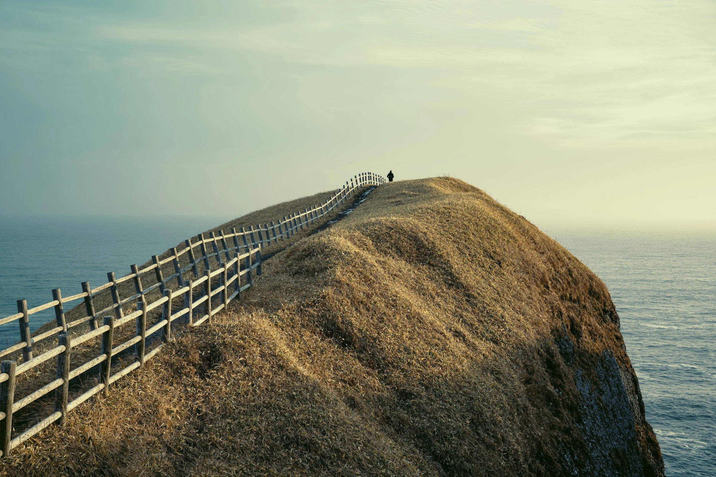 unsplash-image-wKiurDNfeCg.jpg