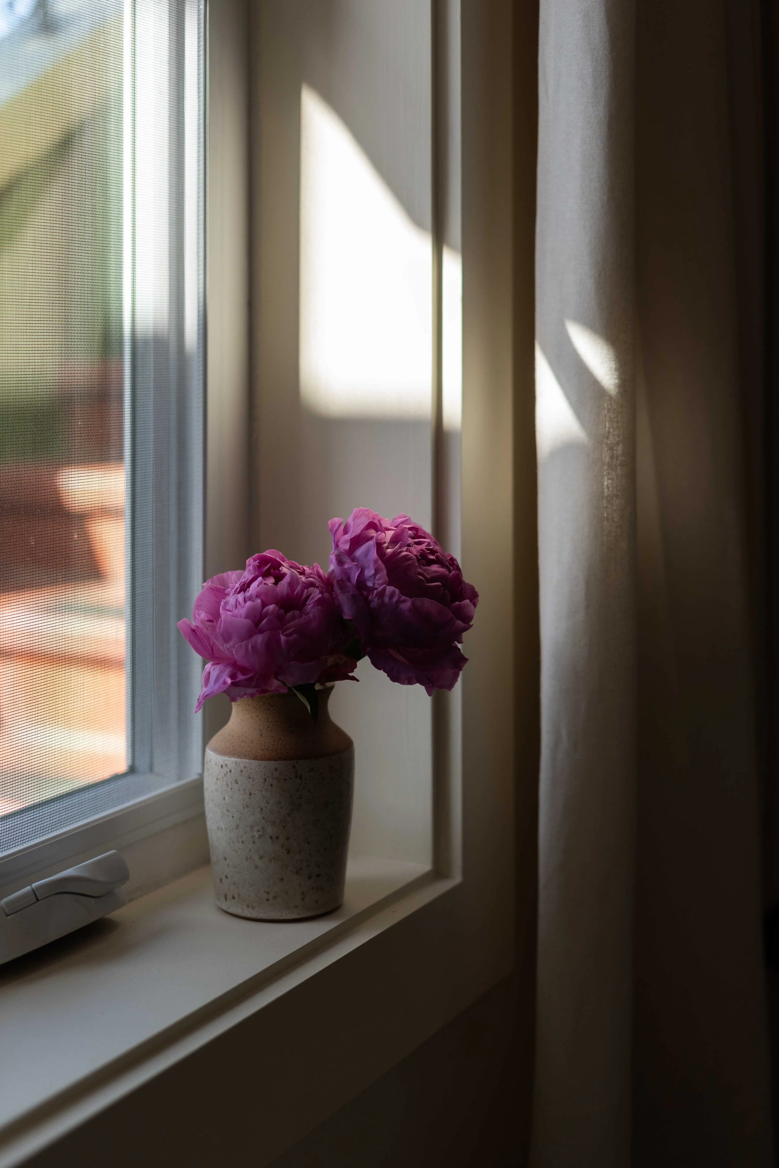 The Pocket Garden 10.jpg