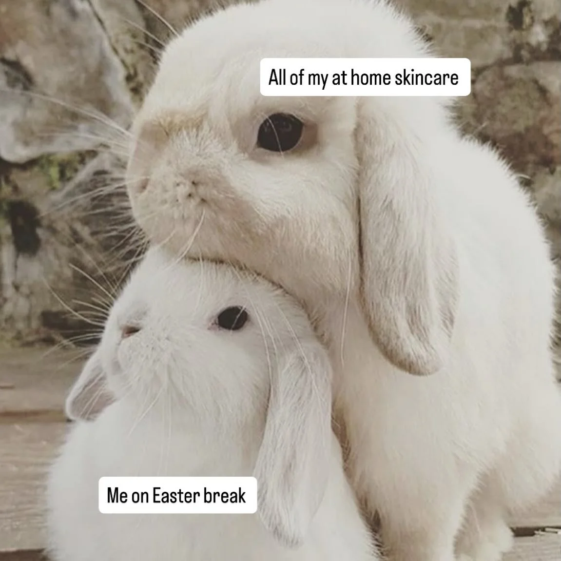 We hope you have the best Easter weekend! We are closed tomorrow, and back next Tuesday 🐰🐣🌼 

Skin tips over a holiday weekend:
🌷Drink lots of water 
🌷Wear your SPF daily
🌷Continue all of your skin care steps morning &amp; night 
🌷Double clean