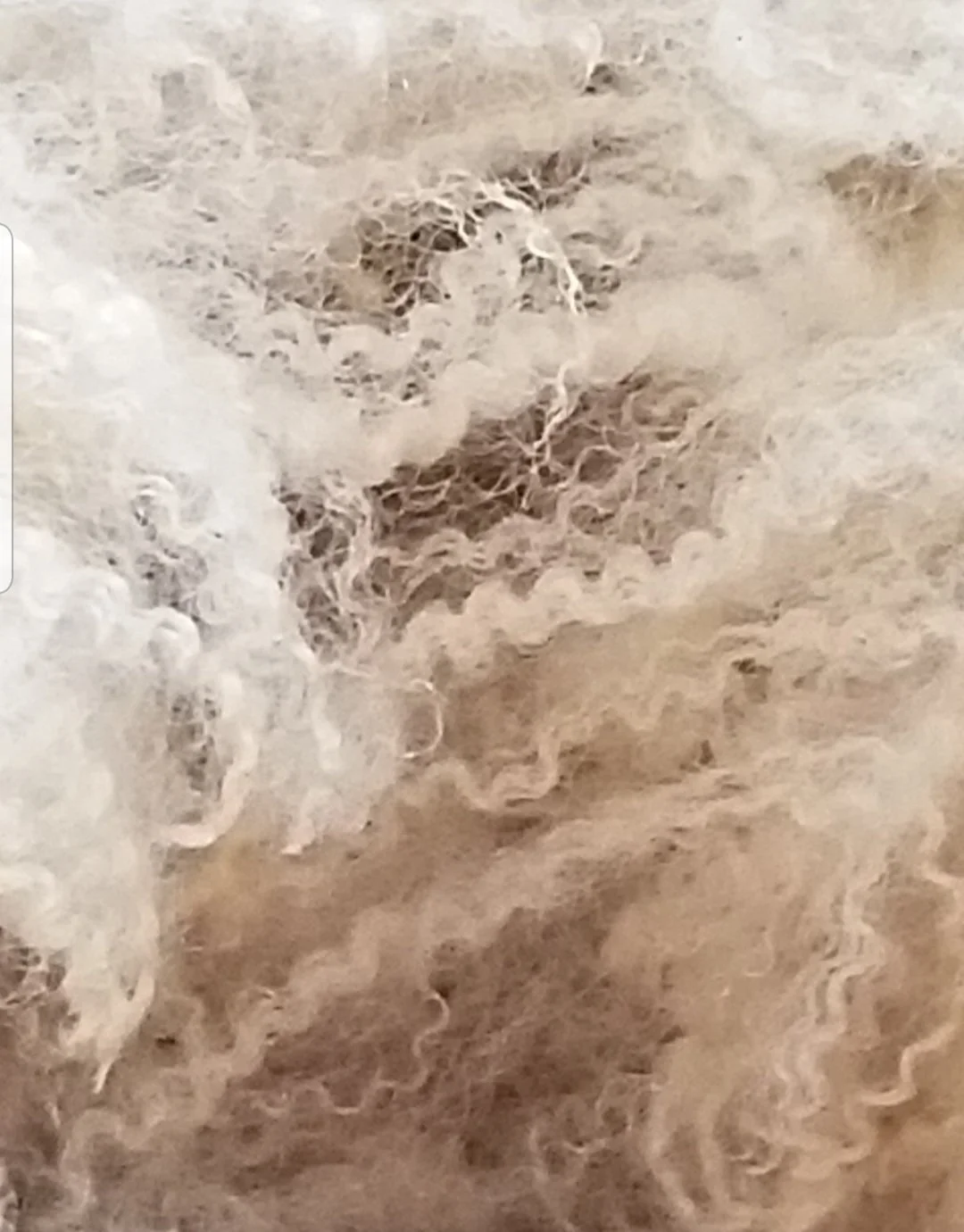 Raw Fleece