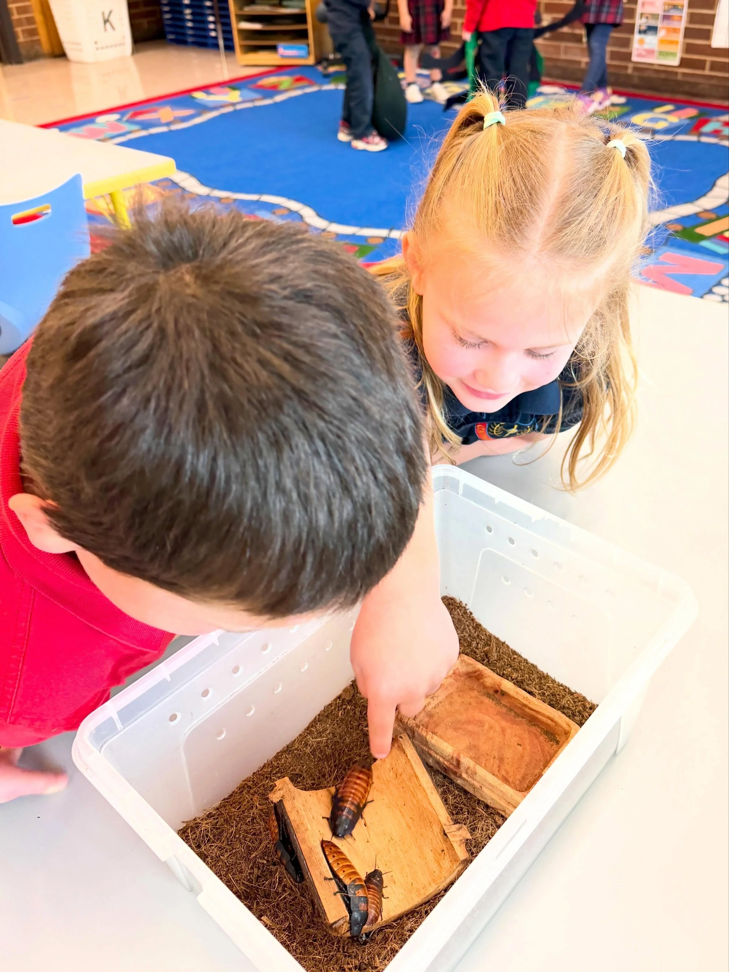 Our youngest learners enjoyed a special visit from OMSI! 🐛🔬

Students explored the fascinating world of insects, learning how they grow, change, and survive in their environments. Through hands- on activities and engaging demonstrations, they disco