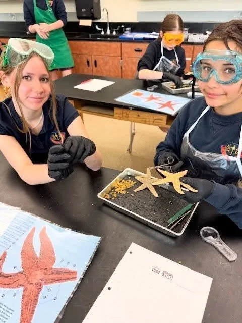 7th grade science in action! 🔬

Our students explored marine biology through a hands-on starfish dissection, taking a closer look at anatomy and how these fascinating creatures survive and thrive.

Experiences like this spark curiosity, deepen under