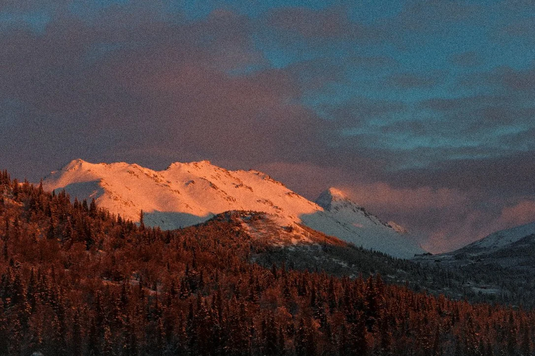 Snow-covered mountain range at sunset with dark clouds overhead, and a forest in the foreground.