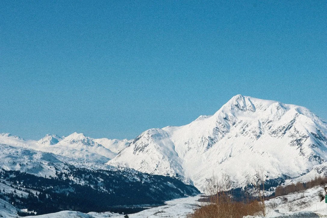 Snow-covered mountains under a clear blue sky with some trees in the foreground.