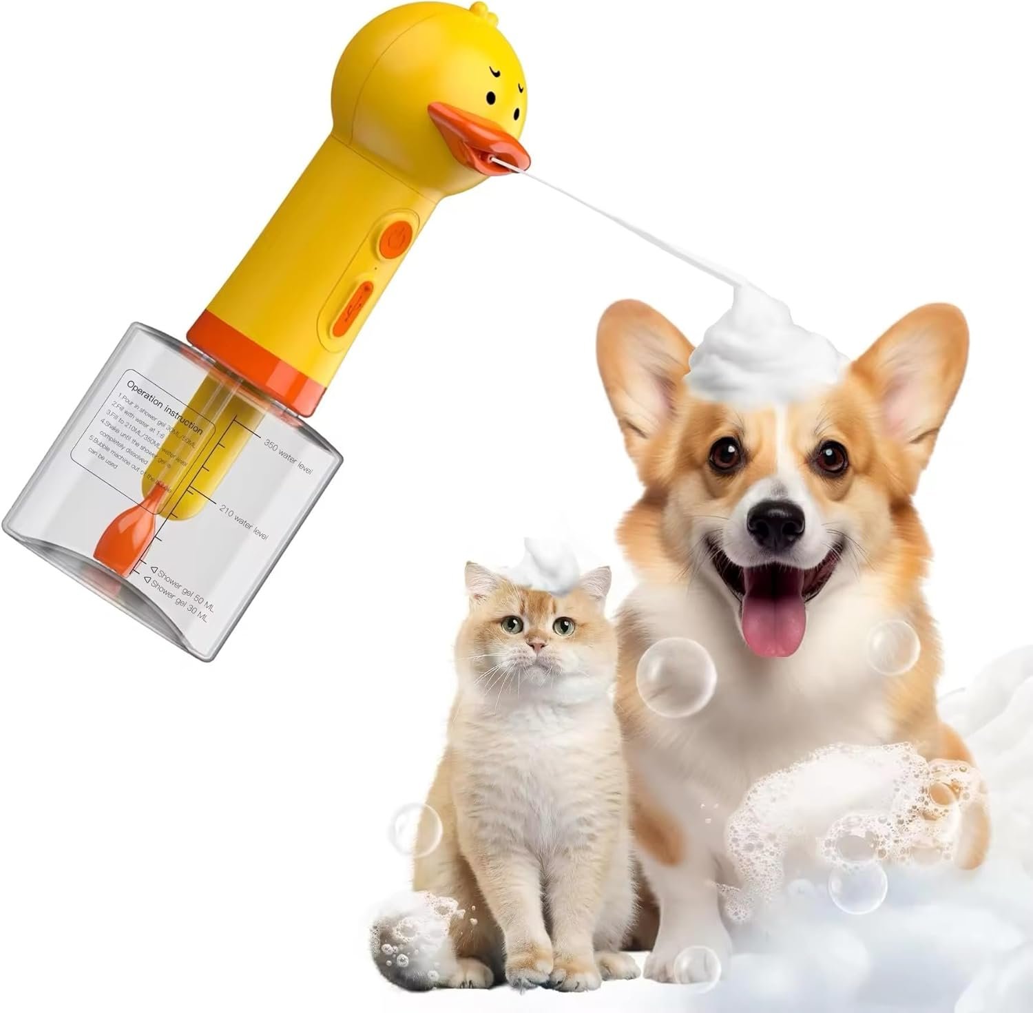 duck 2.jpg