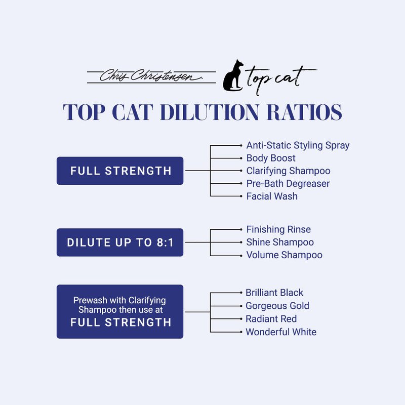 top cat 1.jpg