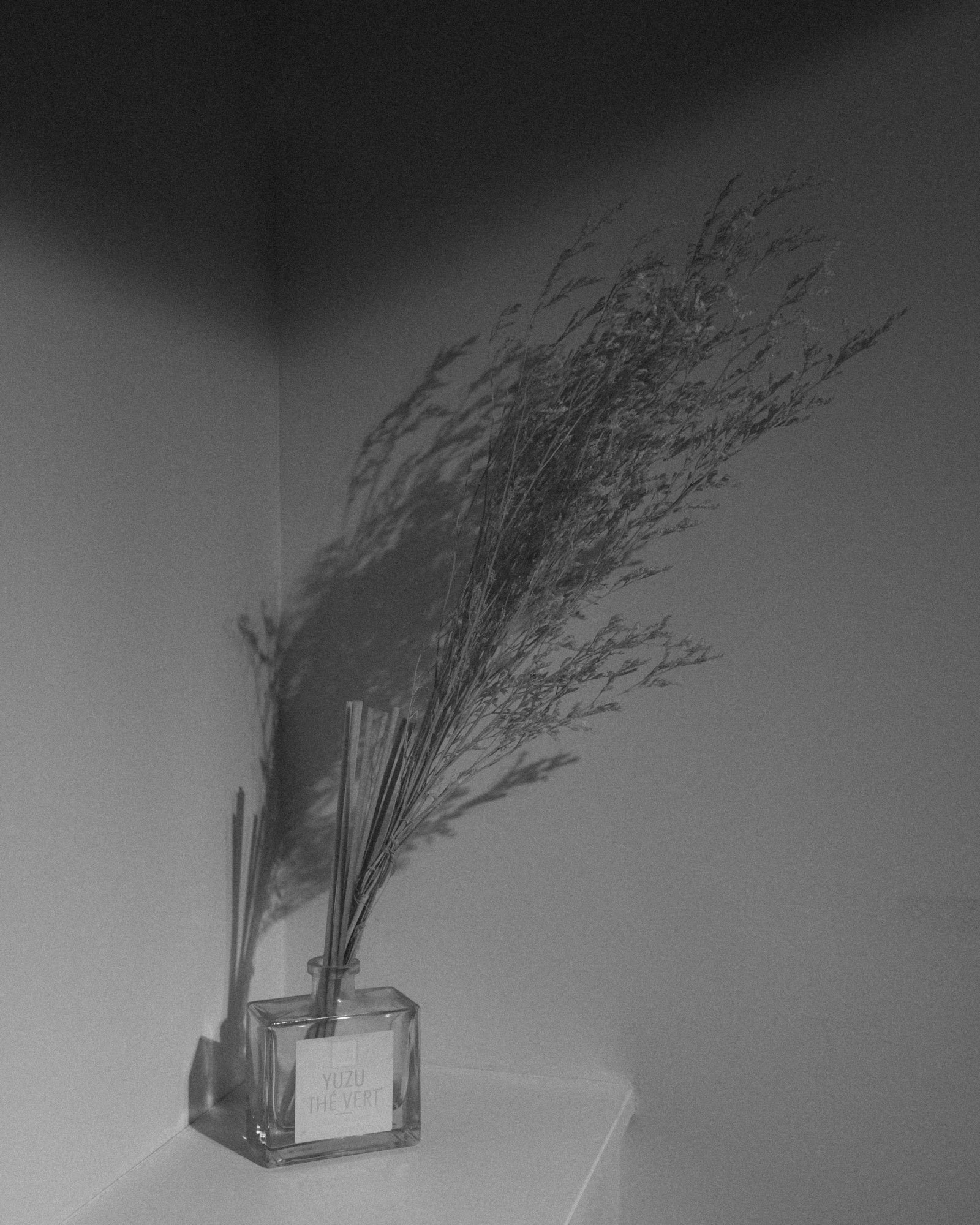 DSCF2509.jpg