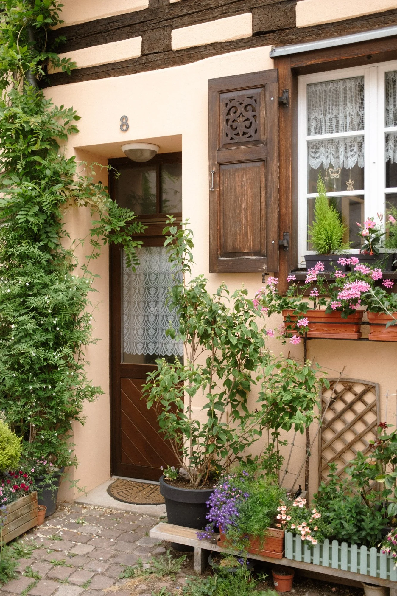 DSCF6885.jpg