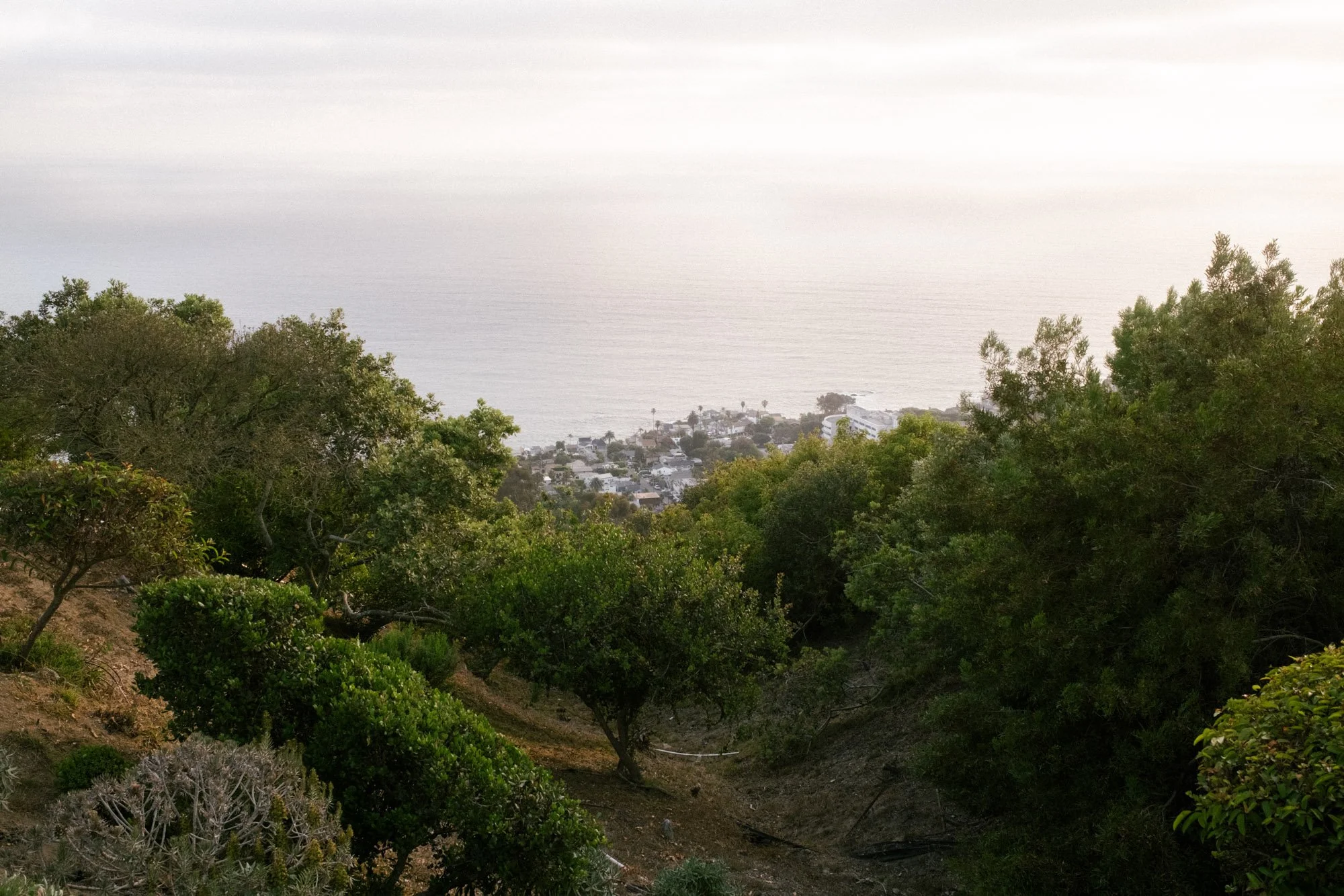 DSCF2896.jpg