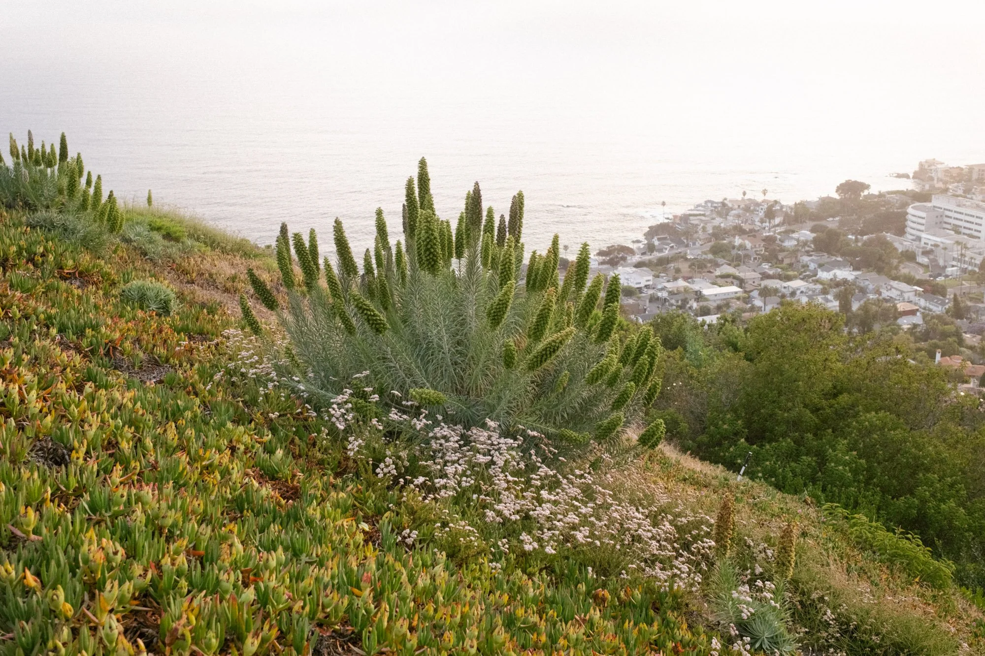 DSCF2922.jpg