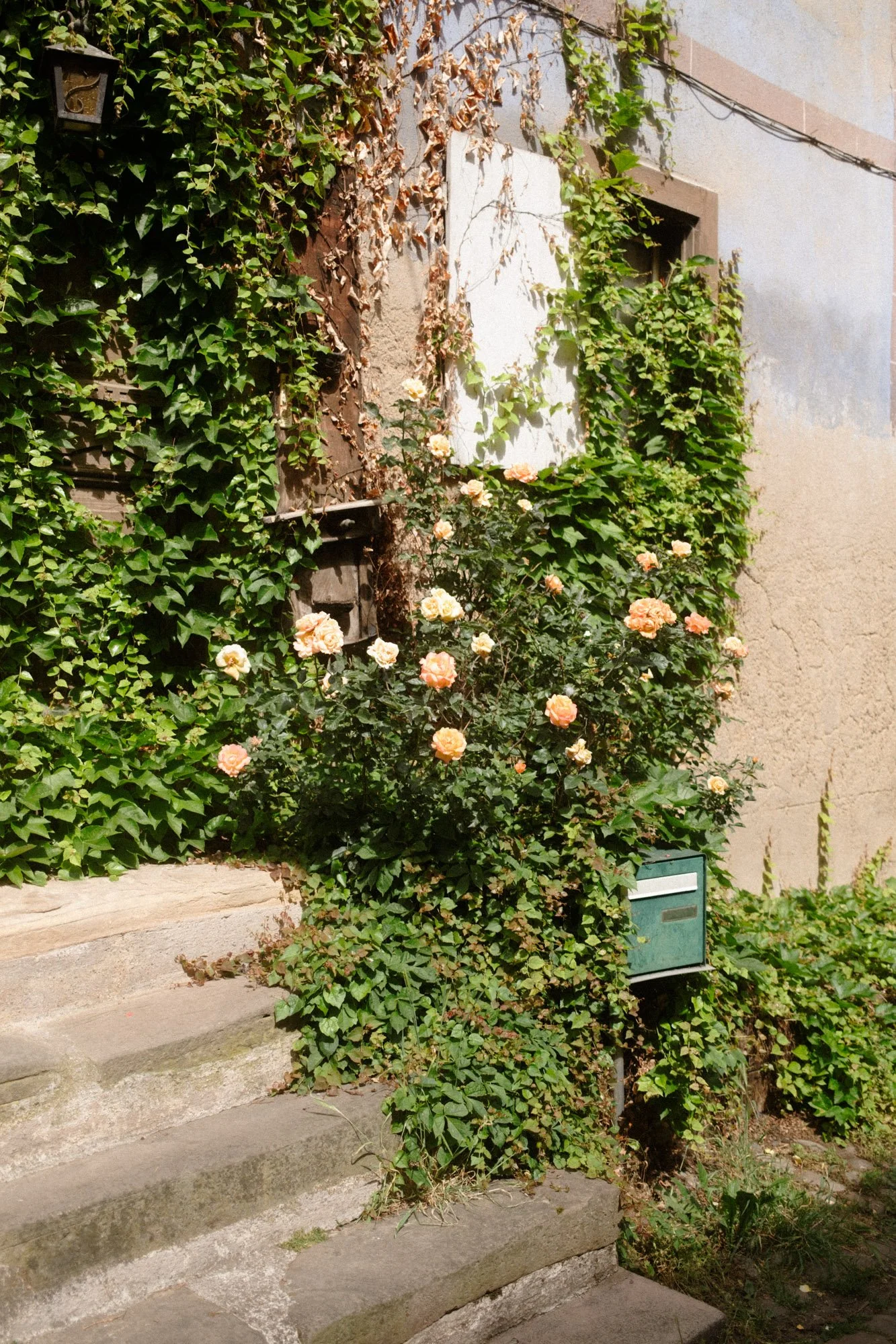 DSCF7009.jpg