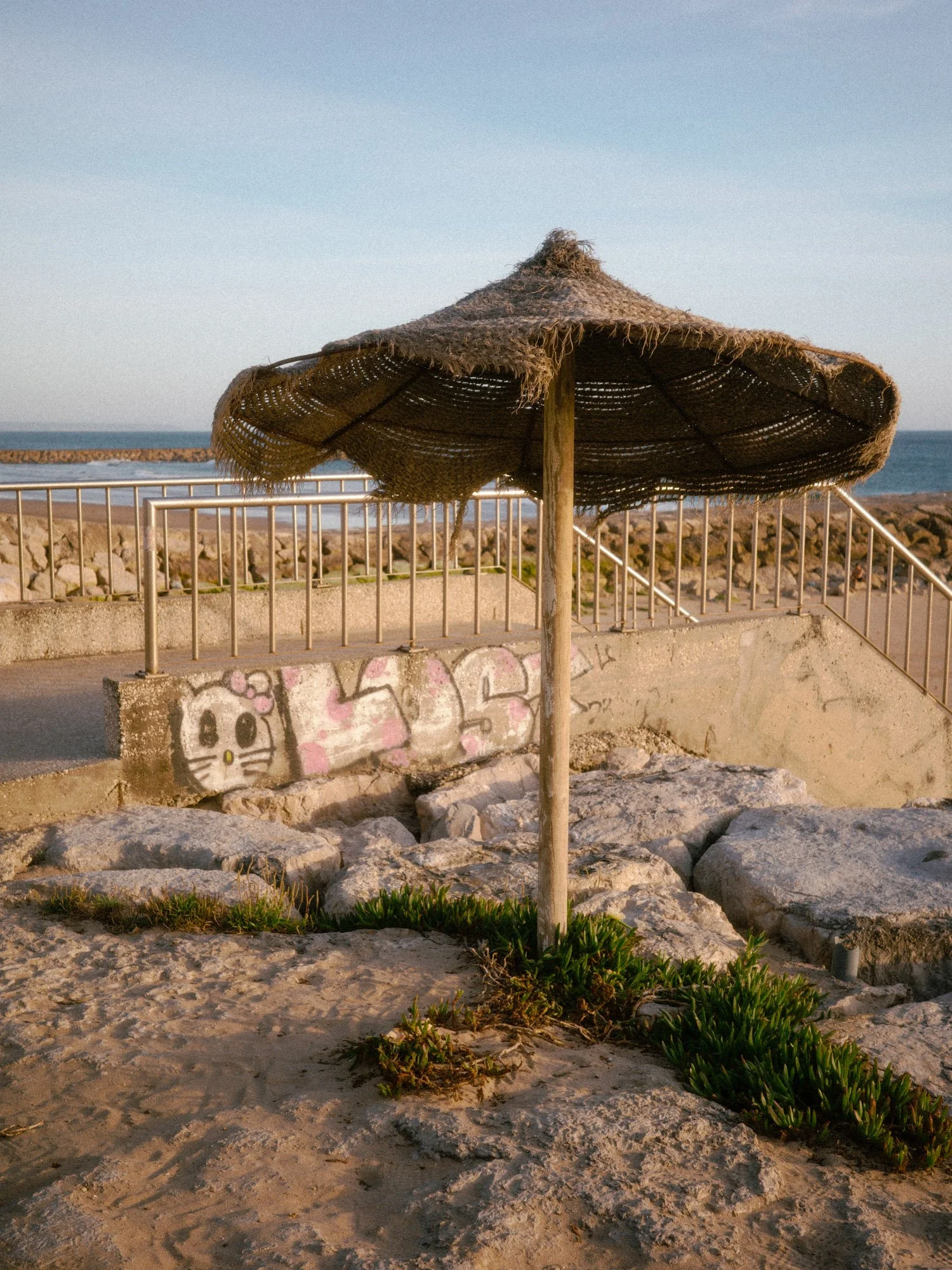 R0003656.jpg