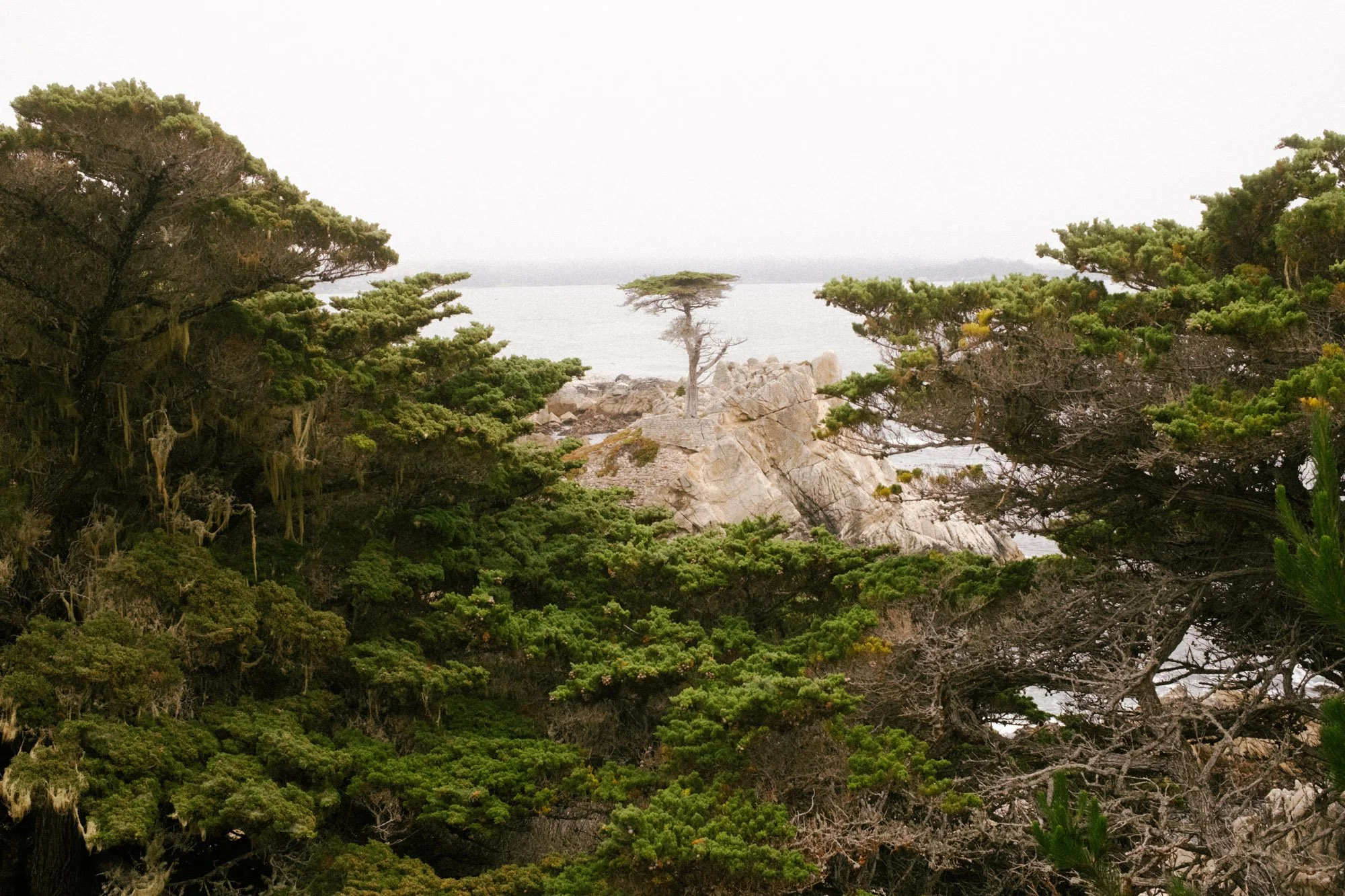 DSCF3408.jpg
