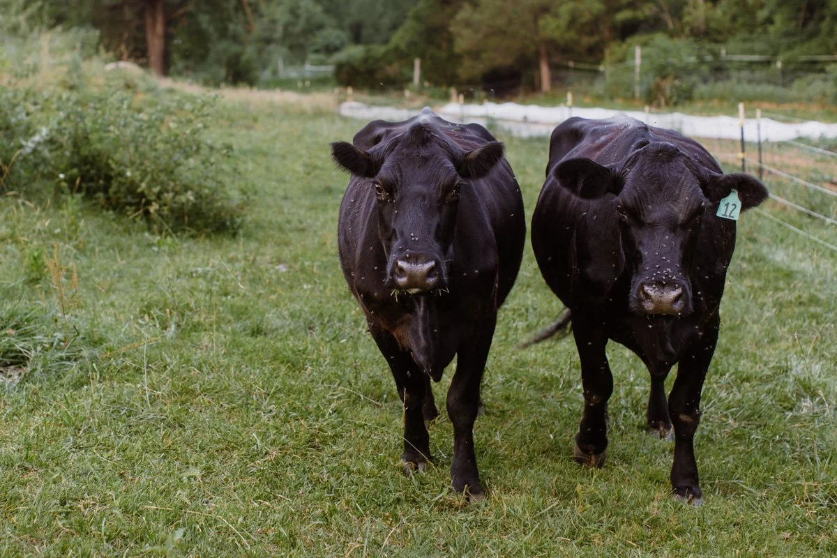 THE SHOP — Thornfield Farm