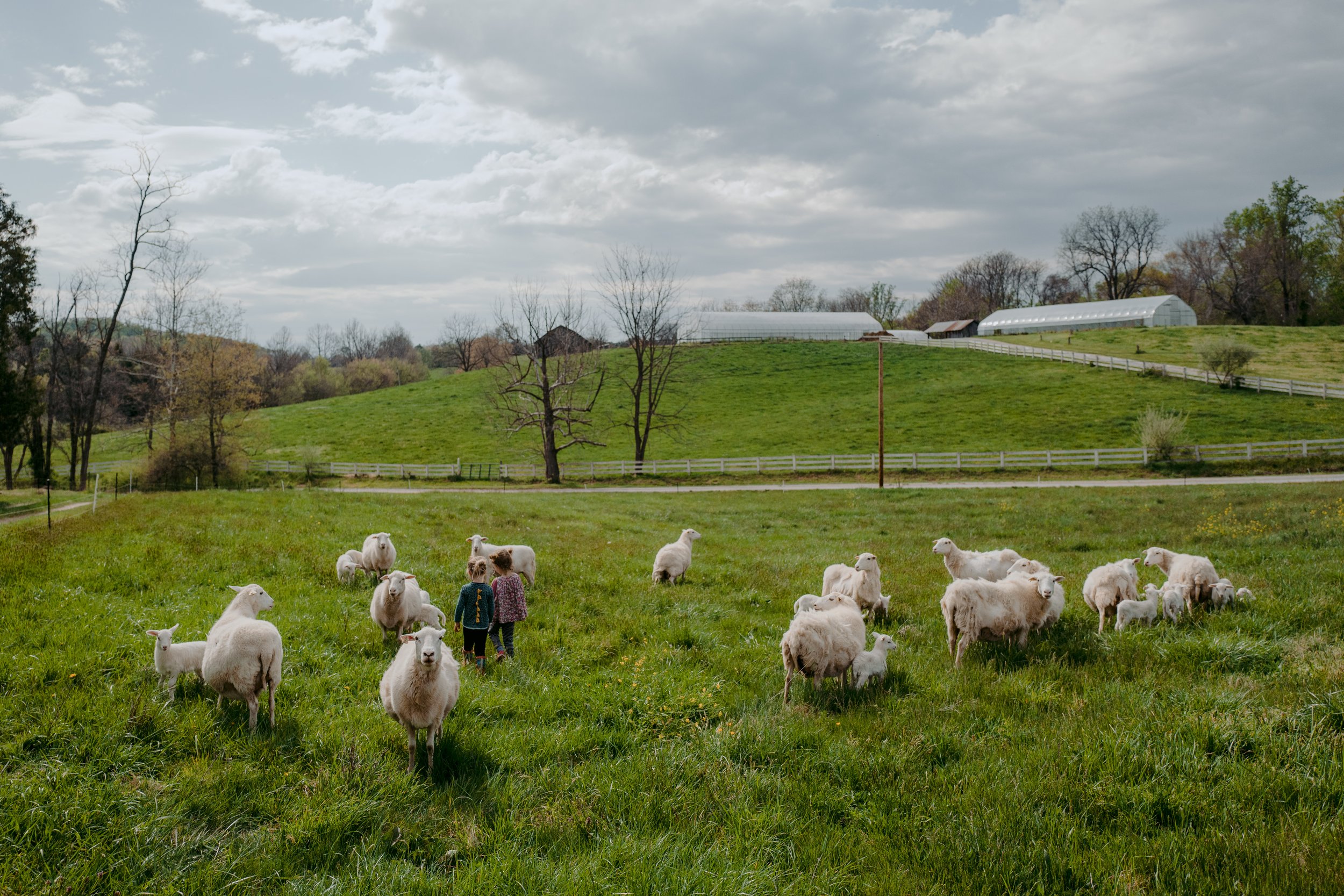 THE SHOP — Thornfield Farm
