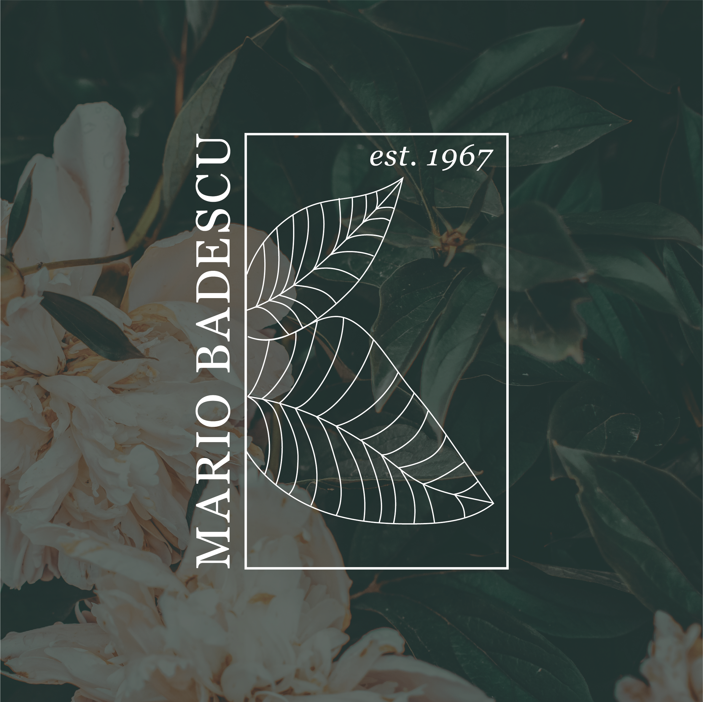 Mario Badescu Rebrand