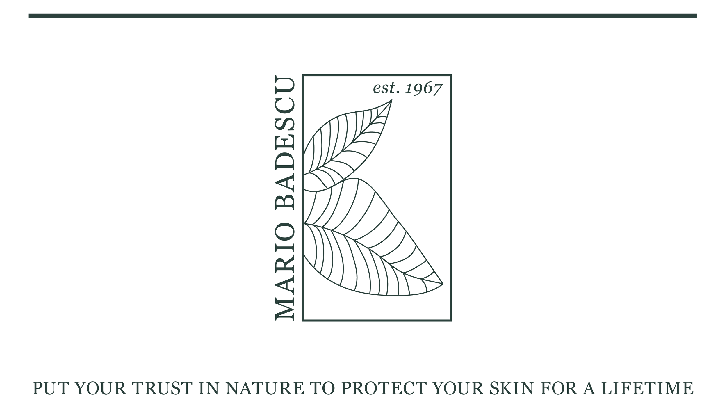 Goetz_Ally_P3_brandguide_updated13.png
