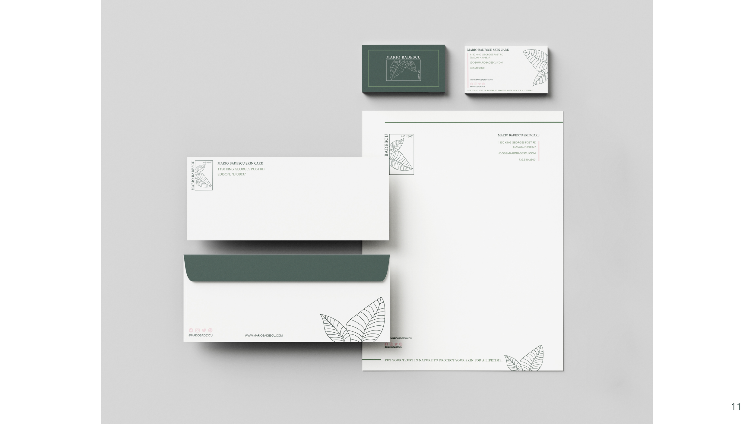 Goetz_Ally_P3_brandguide_updated12.png