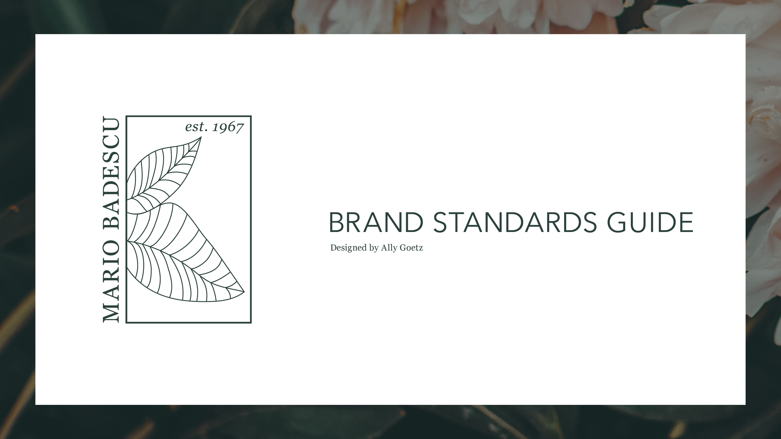 Goetz_Ally_P3_brandguide_updated.png