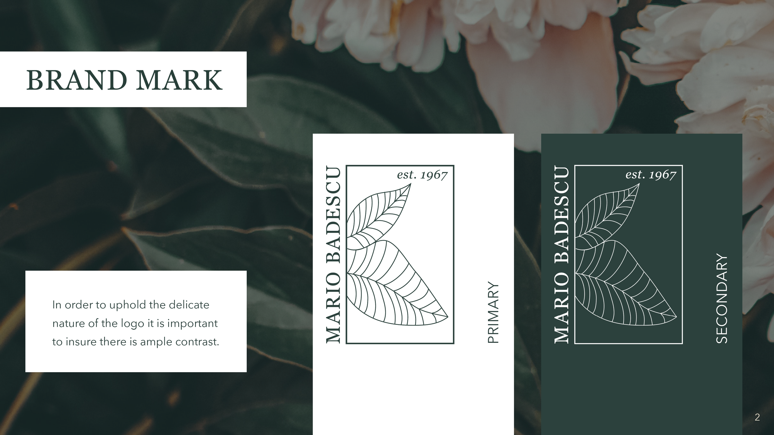 Goetz_Ally_P3_brandguide_updated3.png