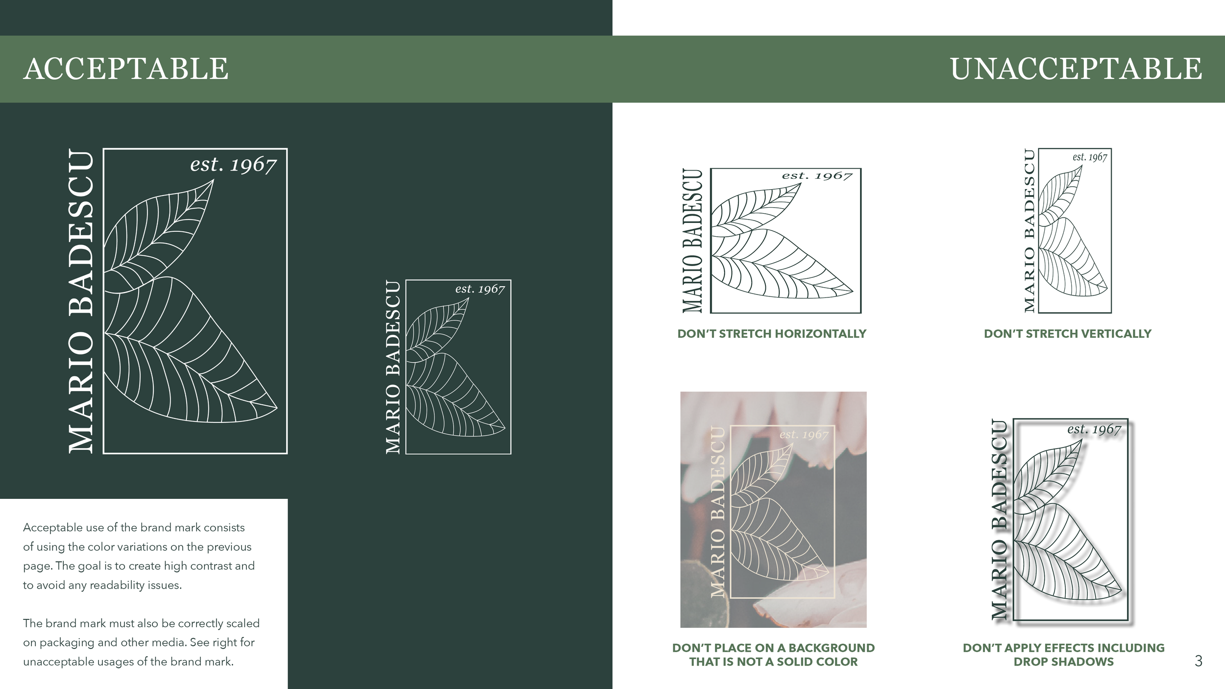 Goetz_Ally_P3_brandguide_updated4.png