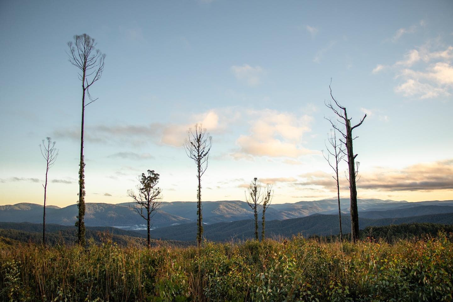 The #CreateCOP26 is a competition and virtual exhibition engaging young artists on themes of climate change. Inspired by the youth climate movement, #CreateCOP26 is dedicated to a generation mobilized and aware that they are inheriting a planet in pe