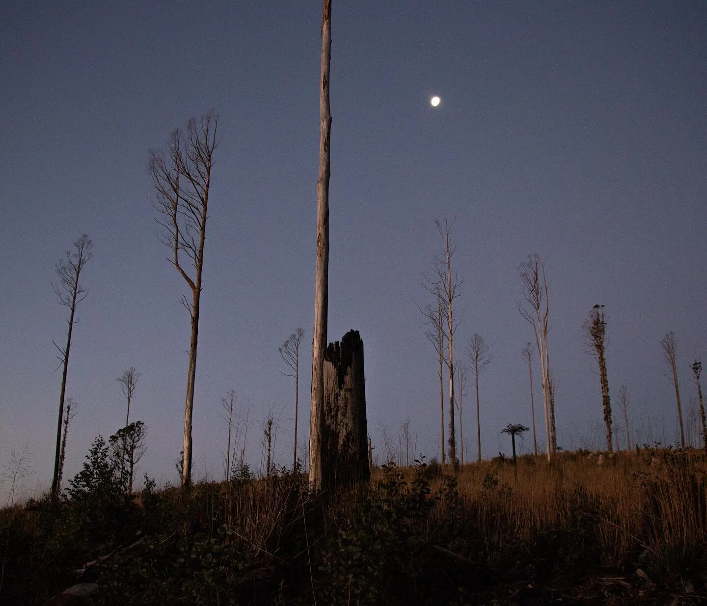 Big Pat&rsquo;s on Sunset - From my series &lsquo;Fell&rsquo; 

This work will be on show at the PSC Graduate Exhibition &lsquo;First Light&rsquo; which is on from November 18-21 at the Centre for Contemporary Photography. To raise funds for the show