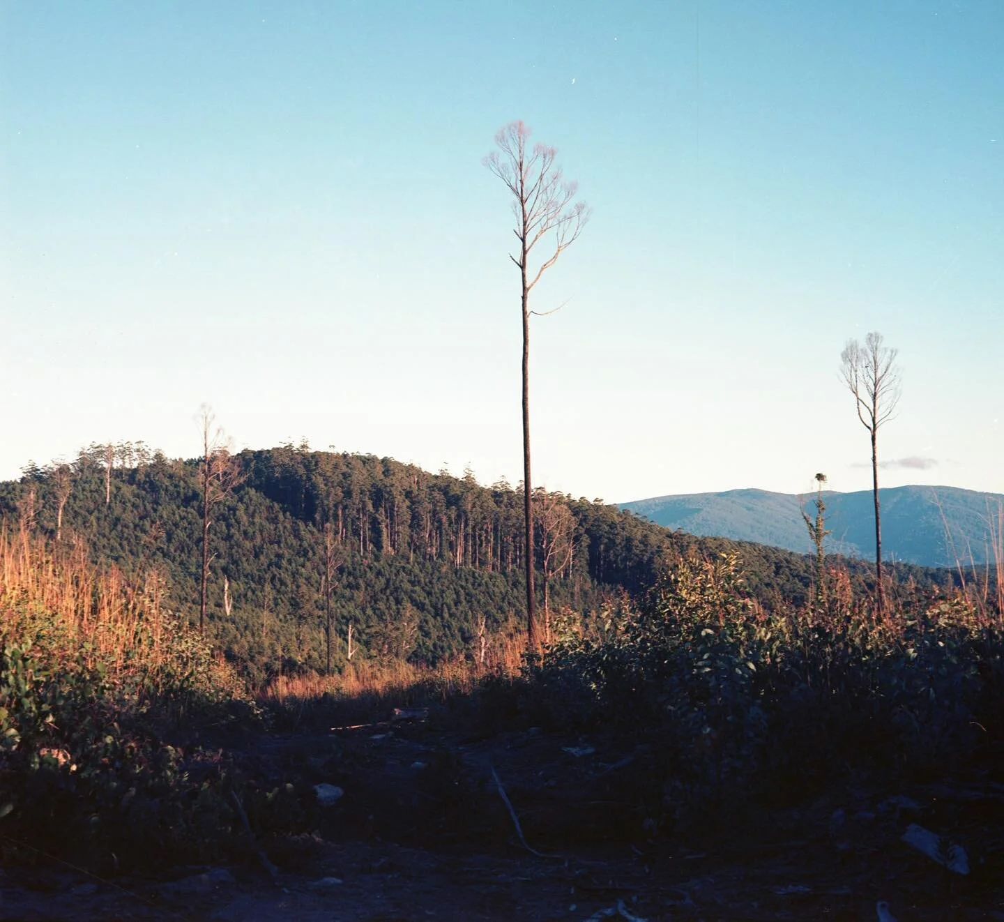 work slow, be present 🎞