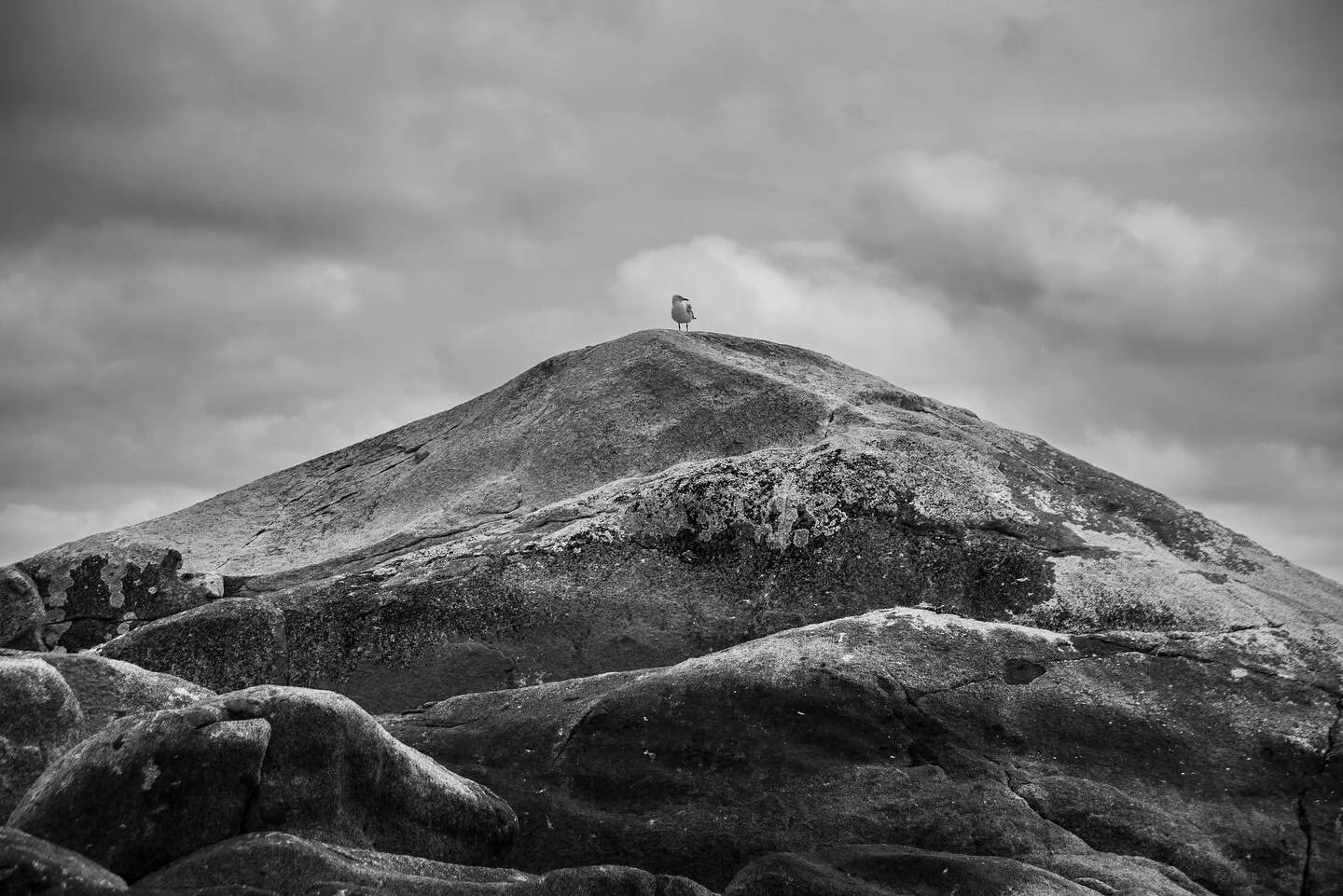 📍 Bay of Fires, TAS