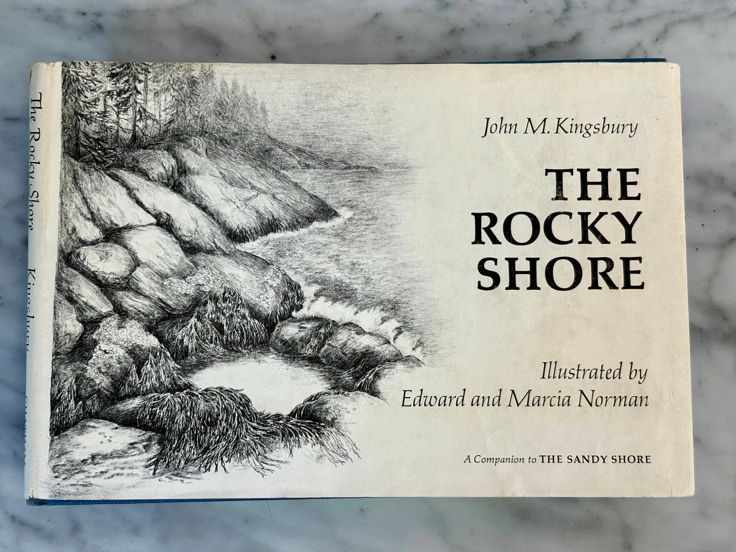 The Rocky Shore by John M. Kingsbury