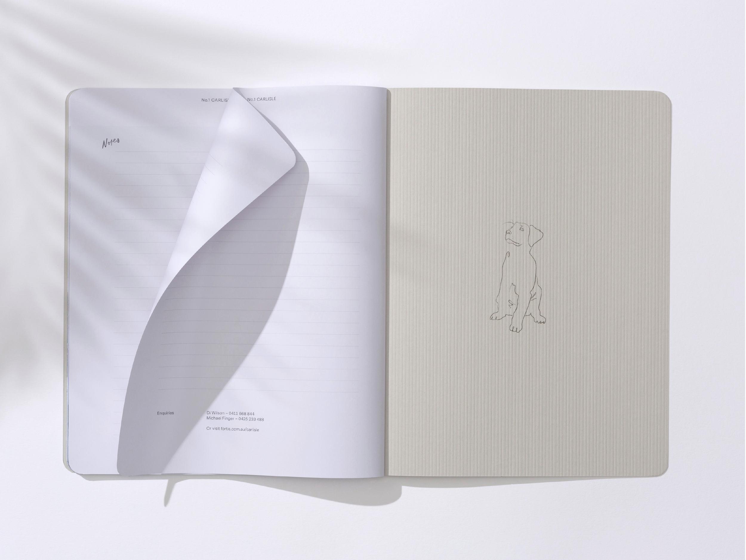 Carlisle_AGDA Awards_7.png