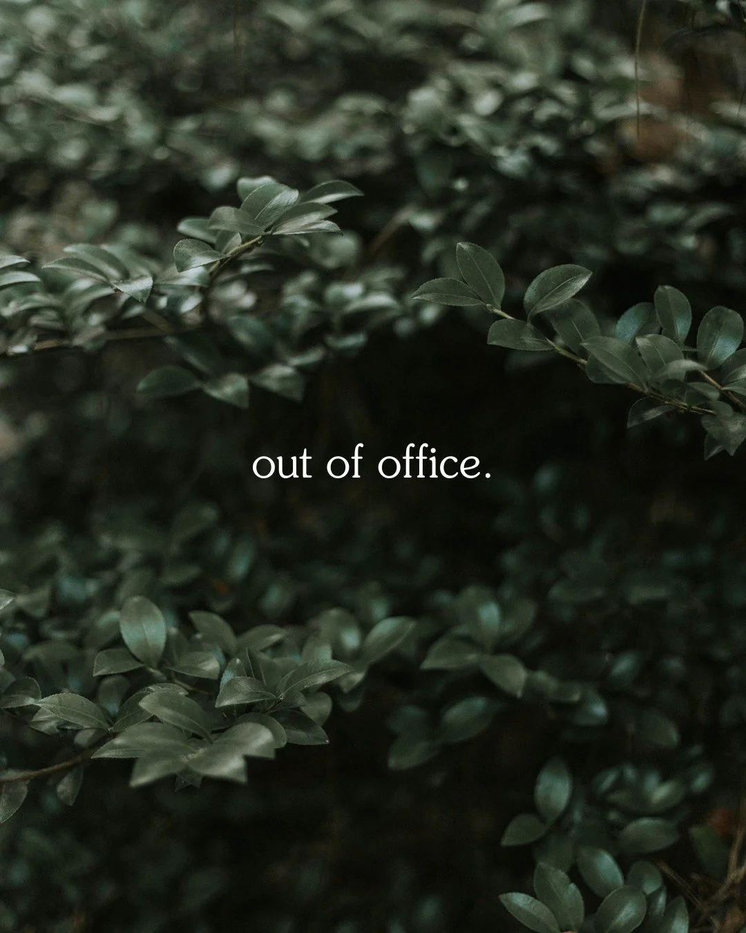Hey friends! I'm OOO this week ✌️Taking some time to rest, recover, and celebrate so I can come back with some fresh, creative juices flowing. I'll be back in a week!