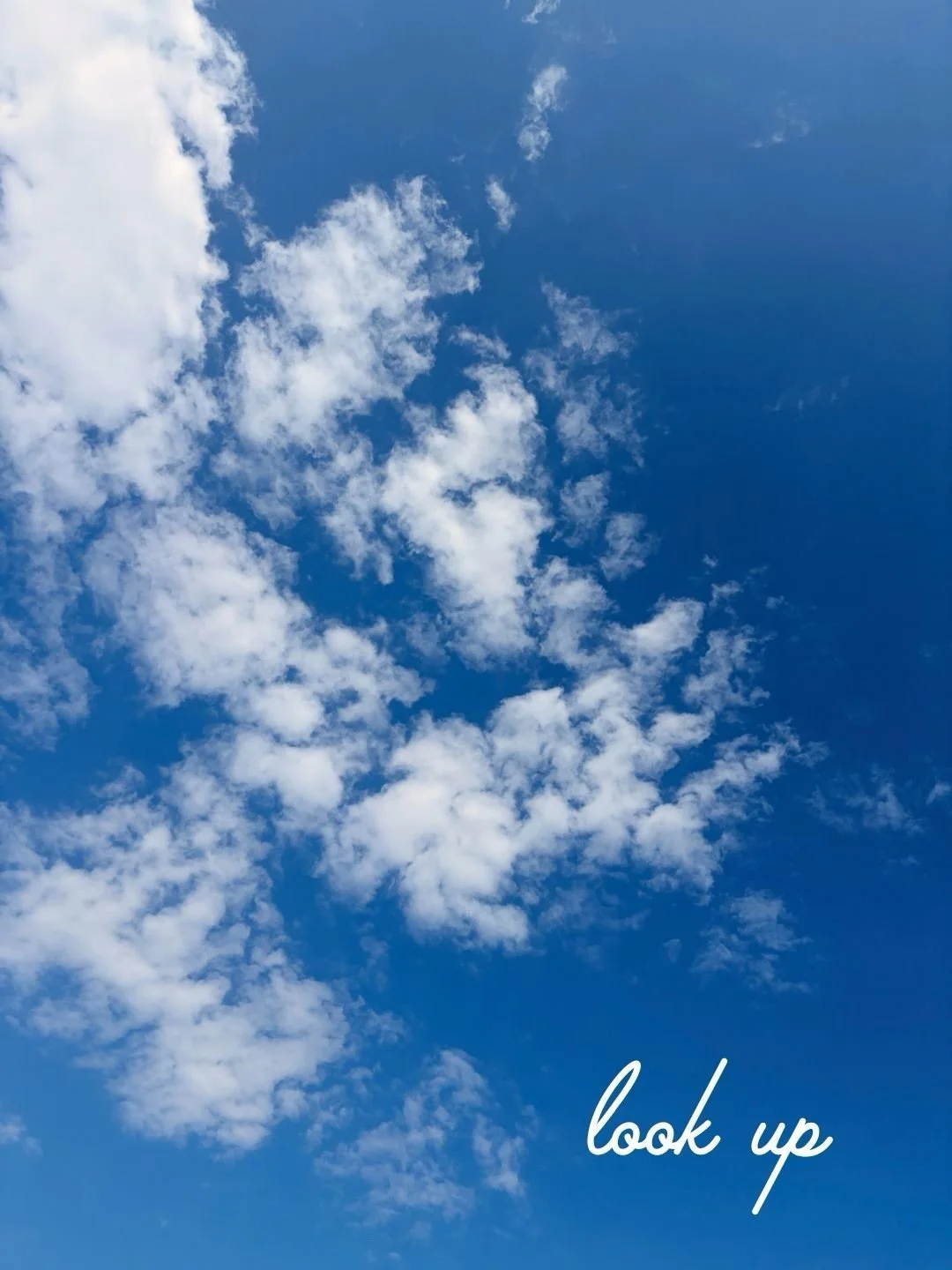 Look up ⛅️ 

Stop and smell the flowers 💐 

You don&rsquo;t learn to swim by reading about water (this isn&rsquo;t about swimming). 

Ask for the big, unreasonable things.
