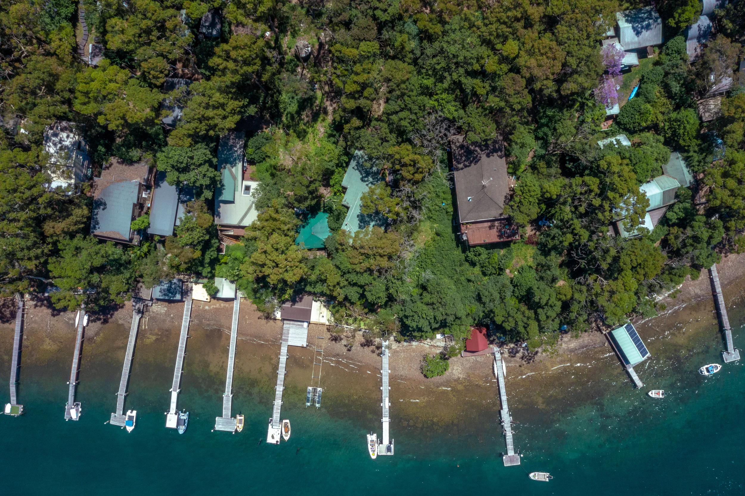 Todd Hardingham Photography-5.webp