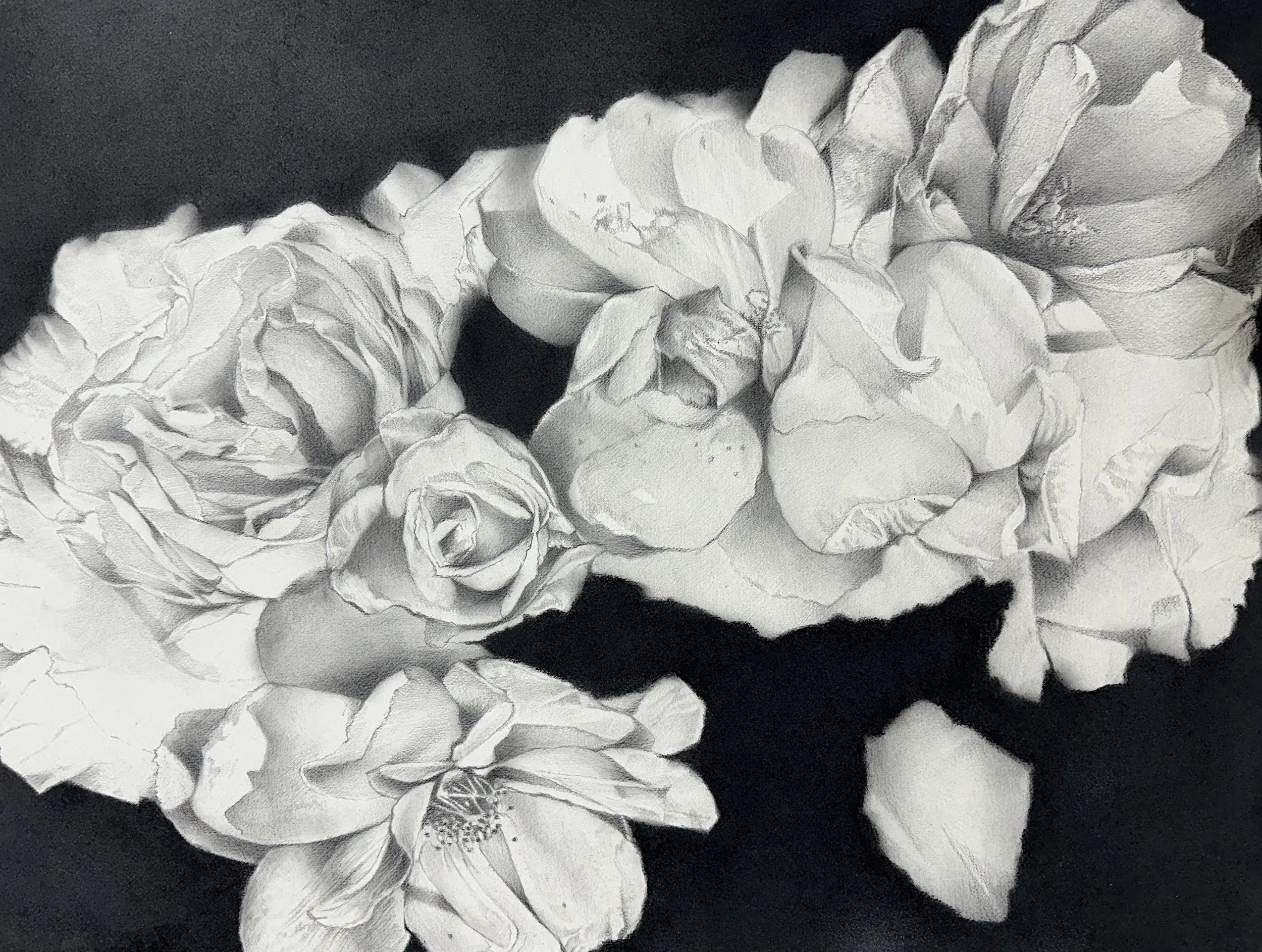 War Roses 1
22" x 30", Graphite and Charcoal