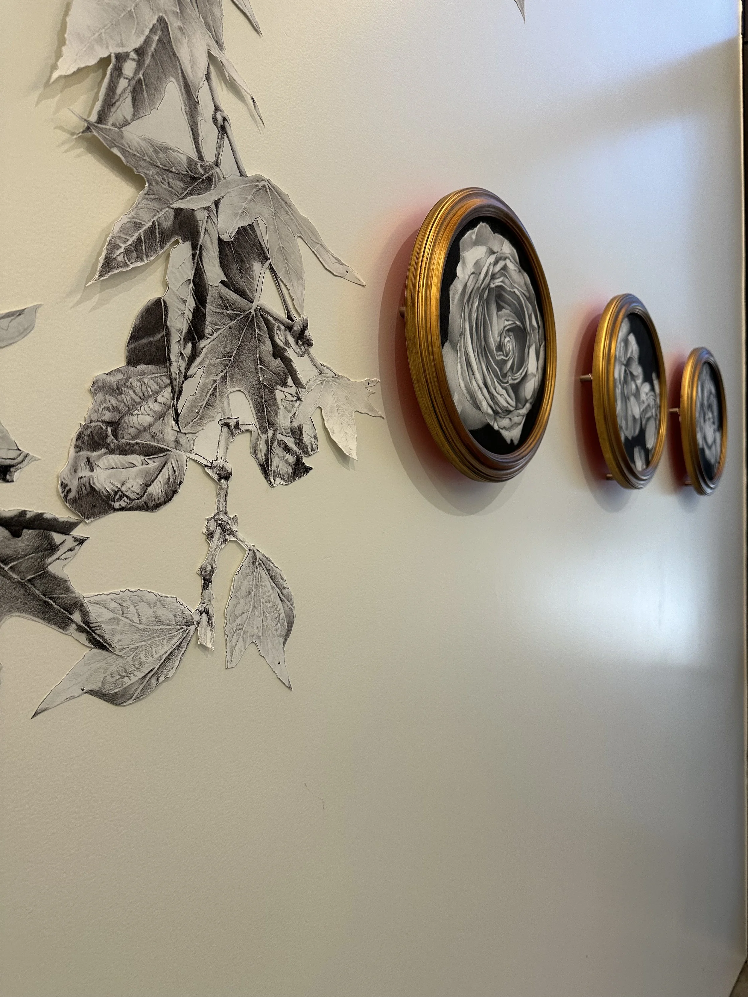 Title_Botany of Desire_installation process5_CA.jpeg