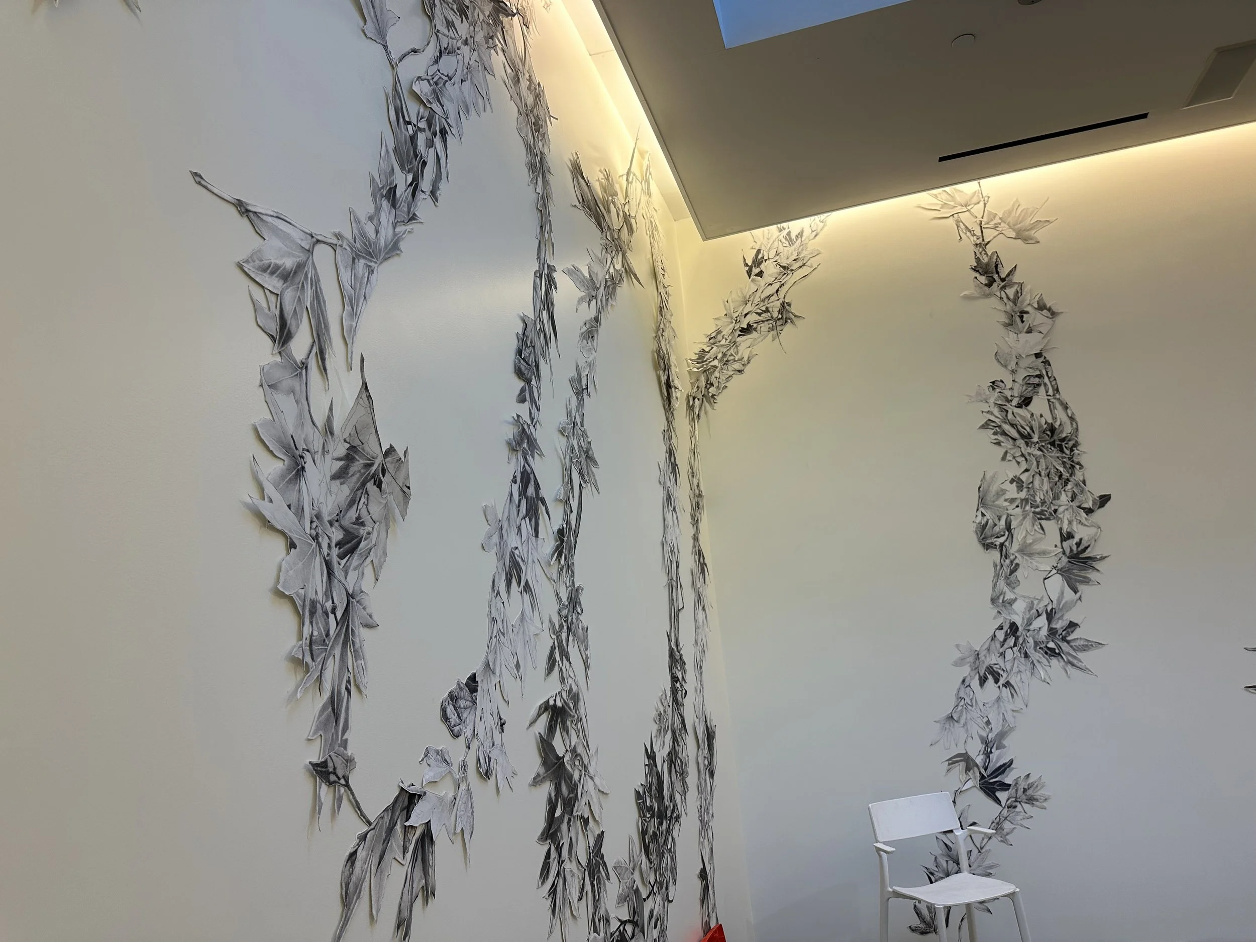 Title_Botany of Desire_installation process3_CA.jpeg