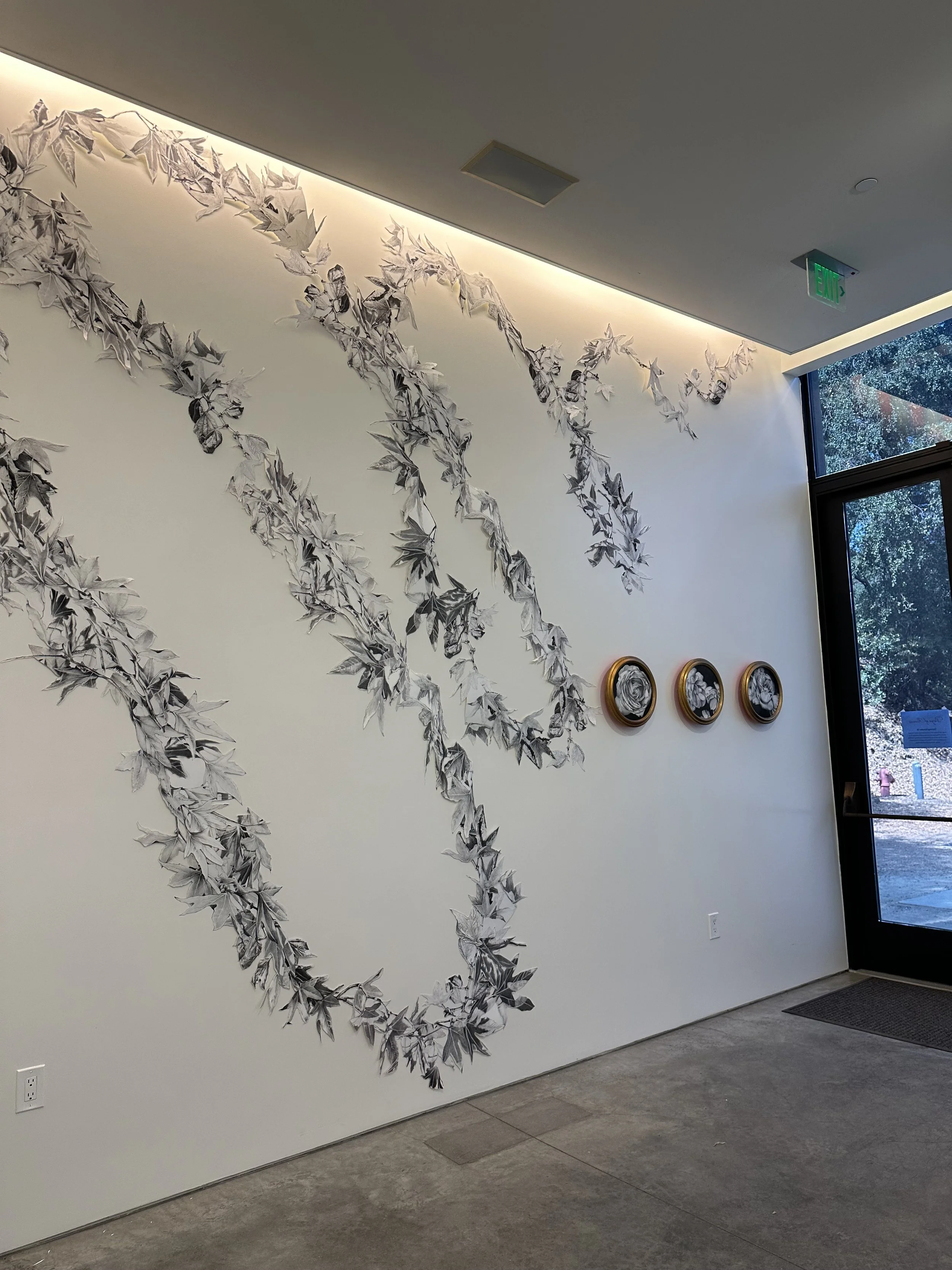 Title_Botany of Desire_installation4 process_CA.jpeg