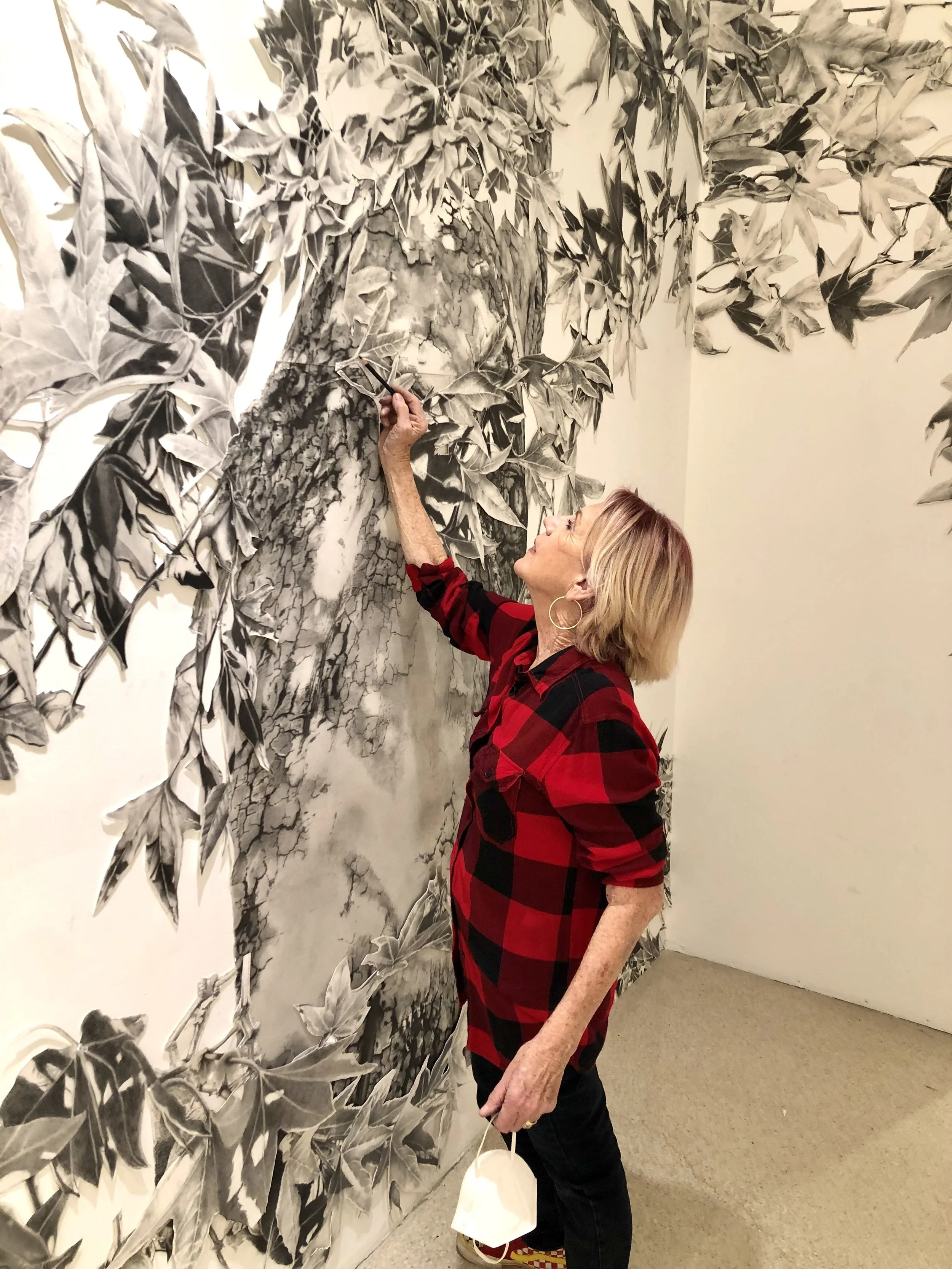 Witness_Tree_install_process CA.jpeg