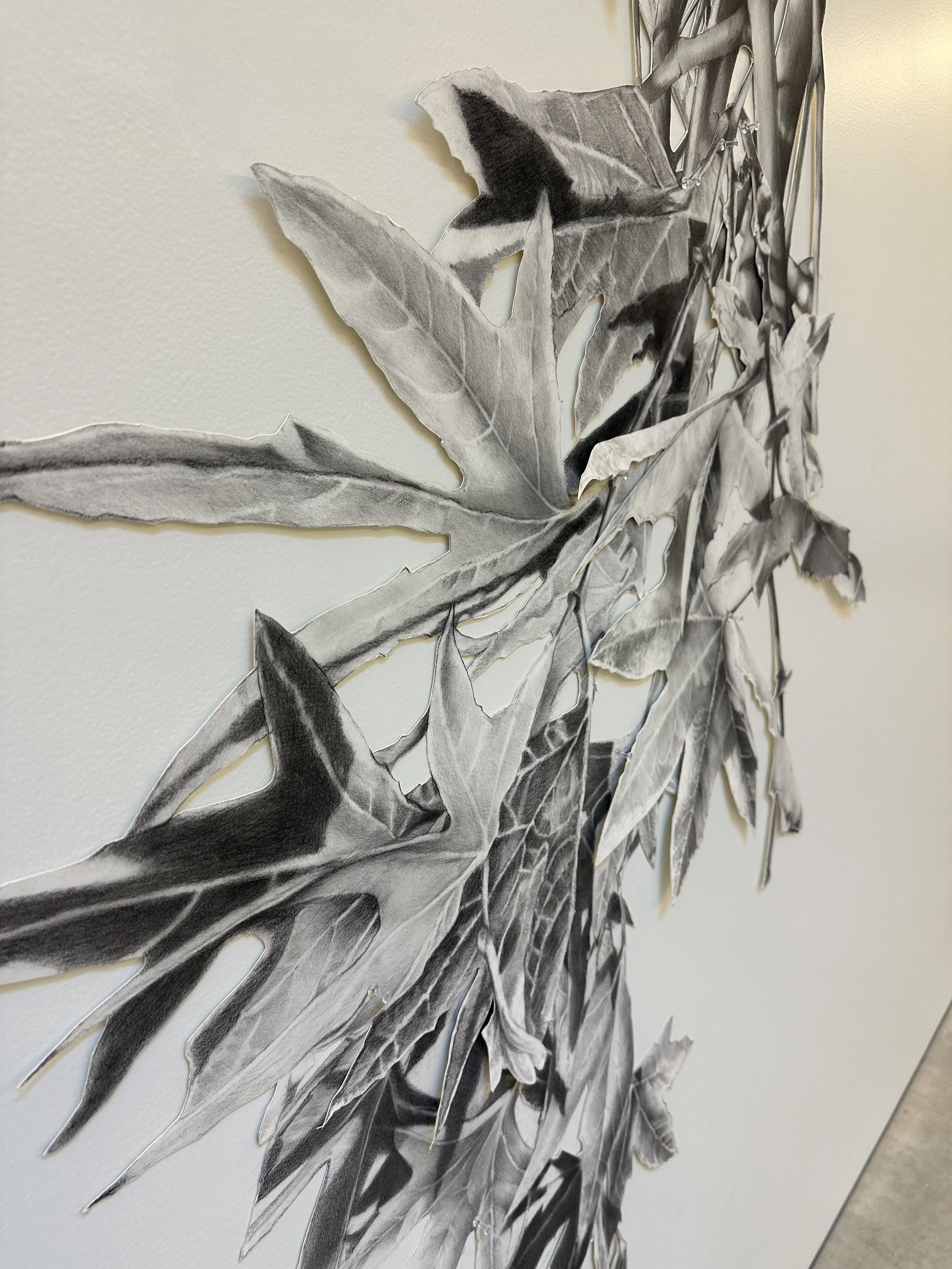 Title_Botany of Desire_installation process2_CA.jpeg