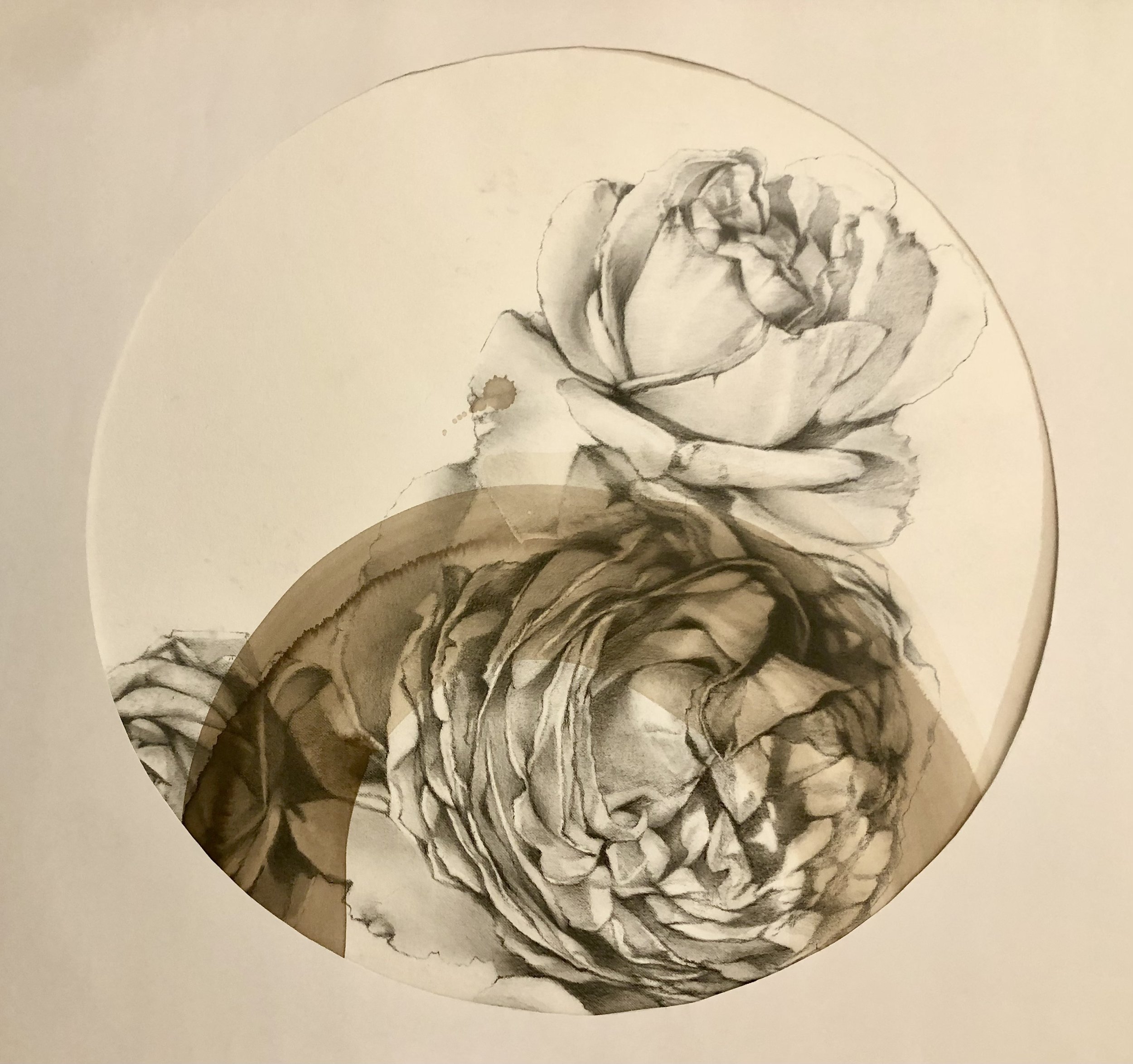 Left Behind Rose 6 - 20" Diameter
