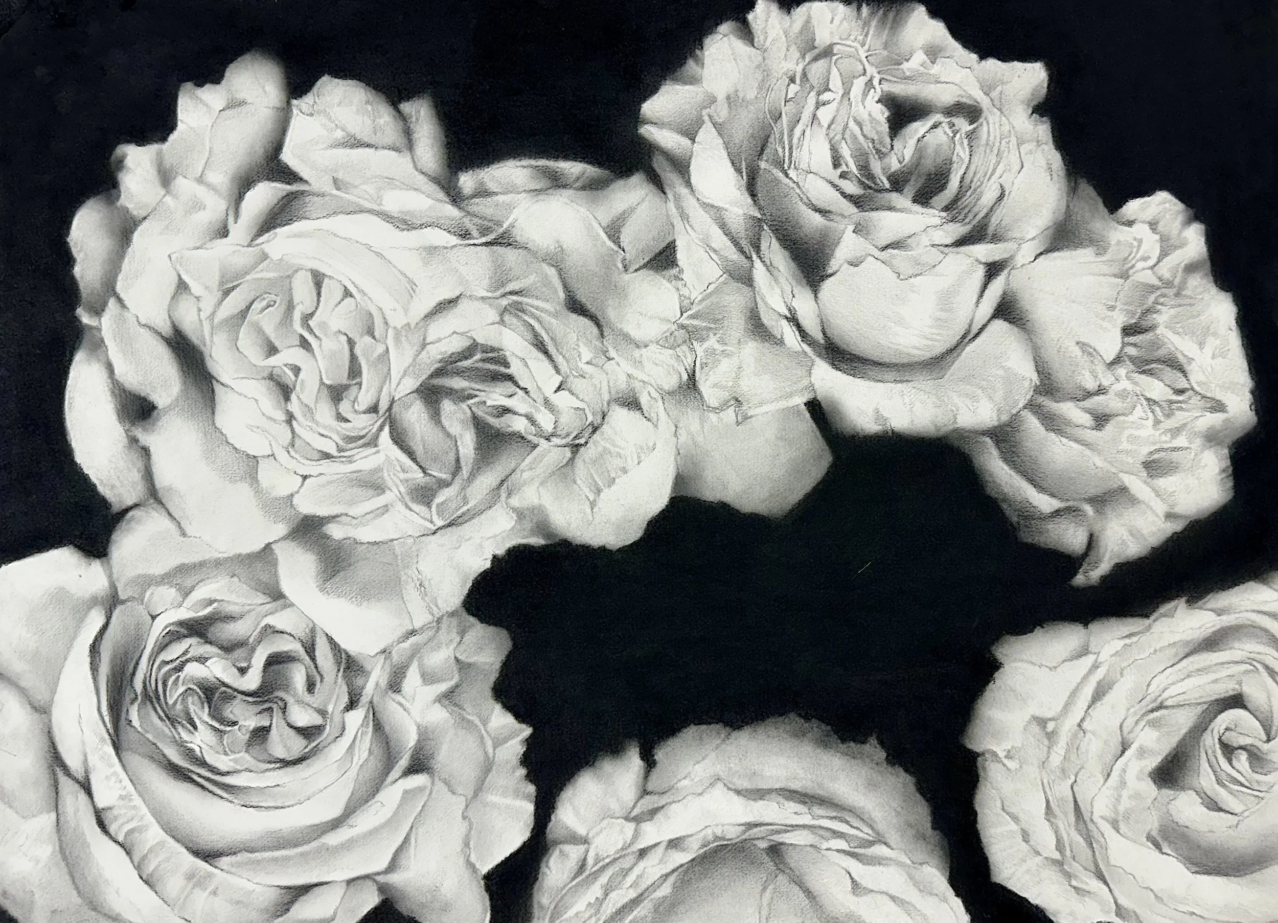War Roses 2
22" x 30", Graphite and Charcoal