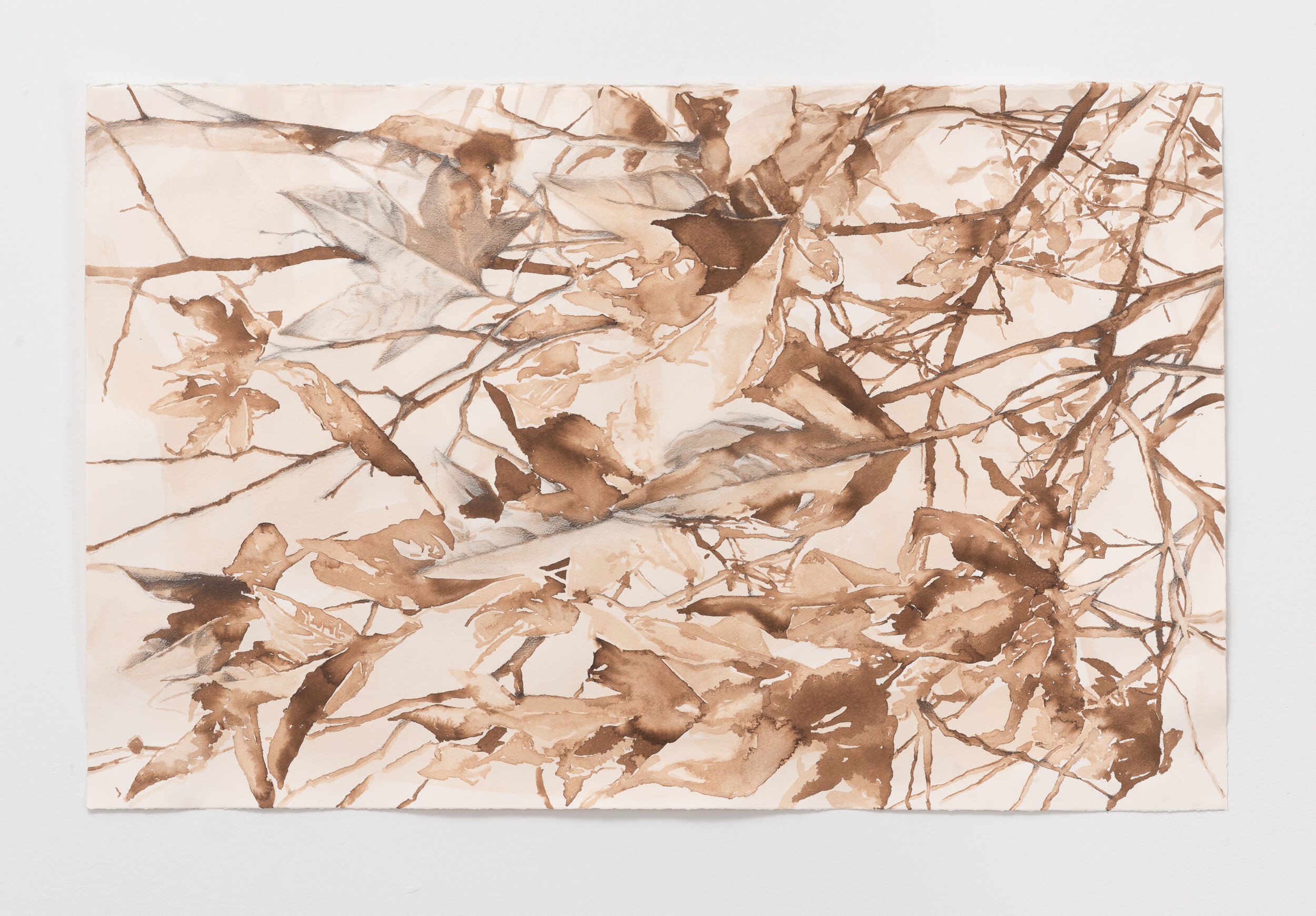Walnut Ink
22" x 30"